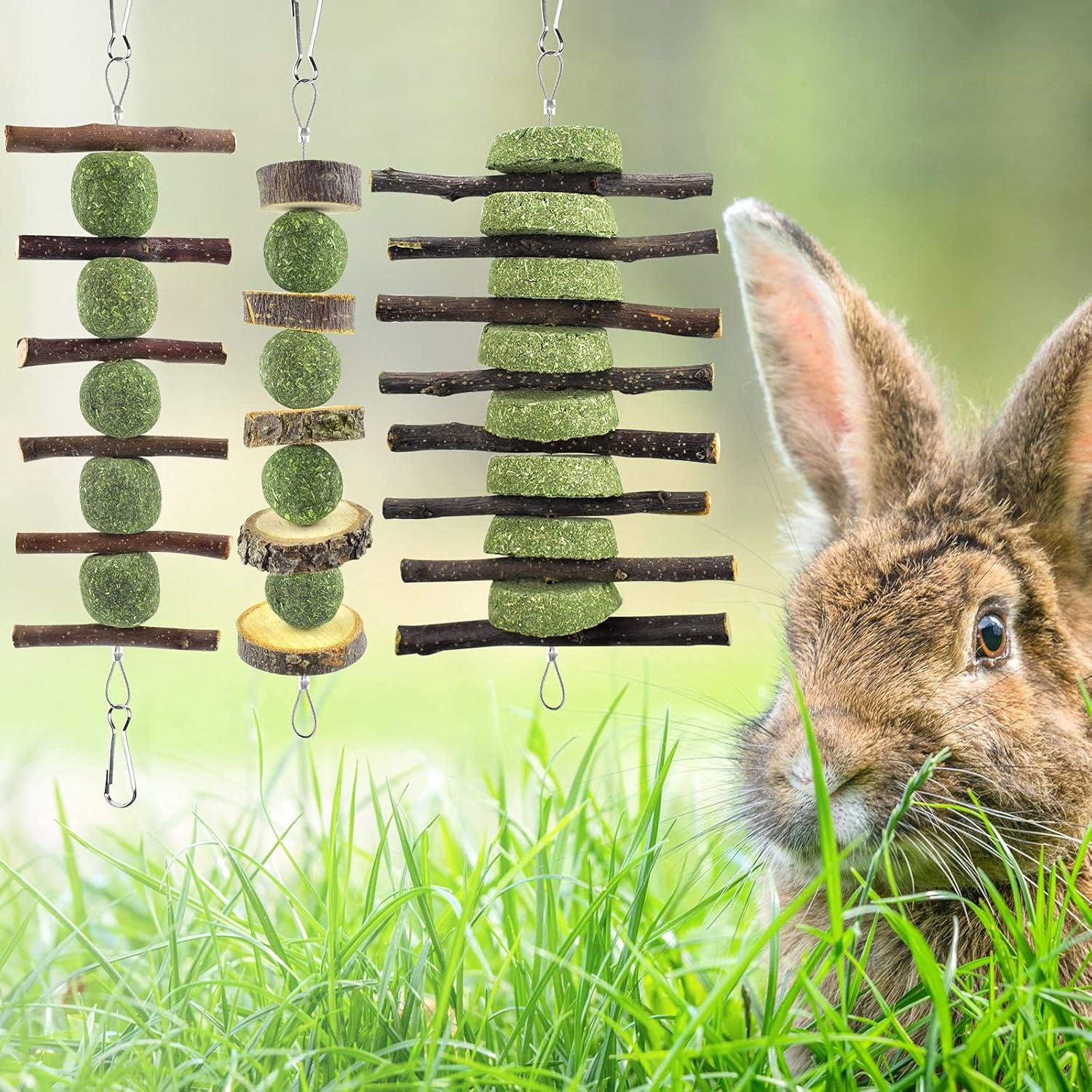 Juguetes de Masticar para Conejos ERKOON 3 Pcs 100% Madera