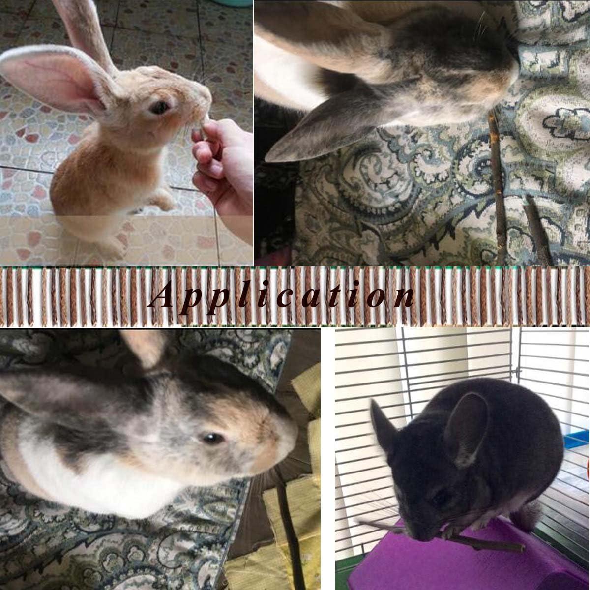 Palitos de Manzana 250g para Masticar Animales Pequeños Bojafa