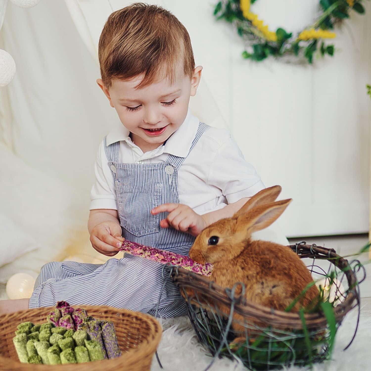 Sofier 32 Piezas Palitos de Heno Timothy 320g para Conejos y Cobayas