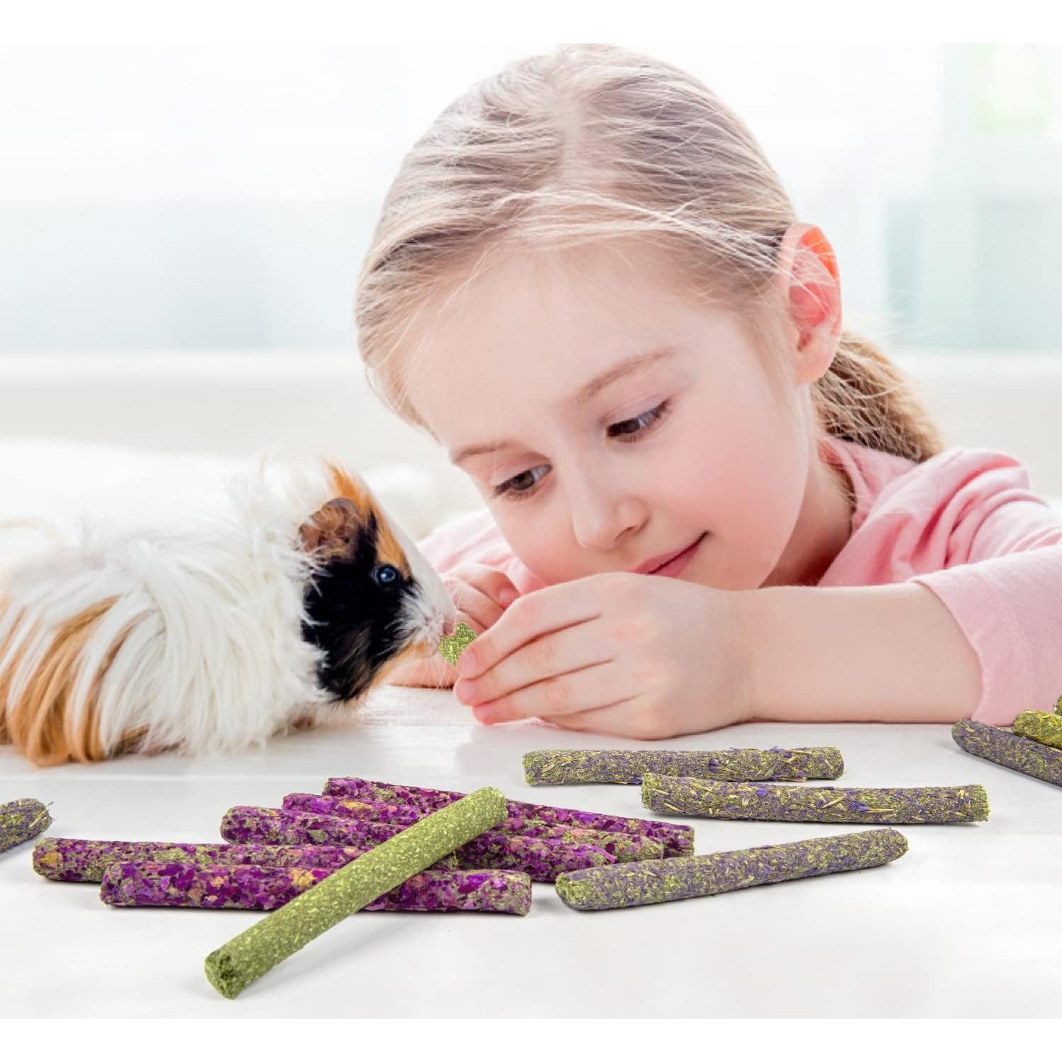 Sofier 32 Piezas Palitos de Heno Timothy 320g para Conejos y Cobayas