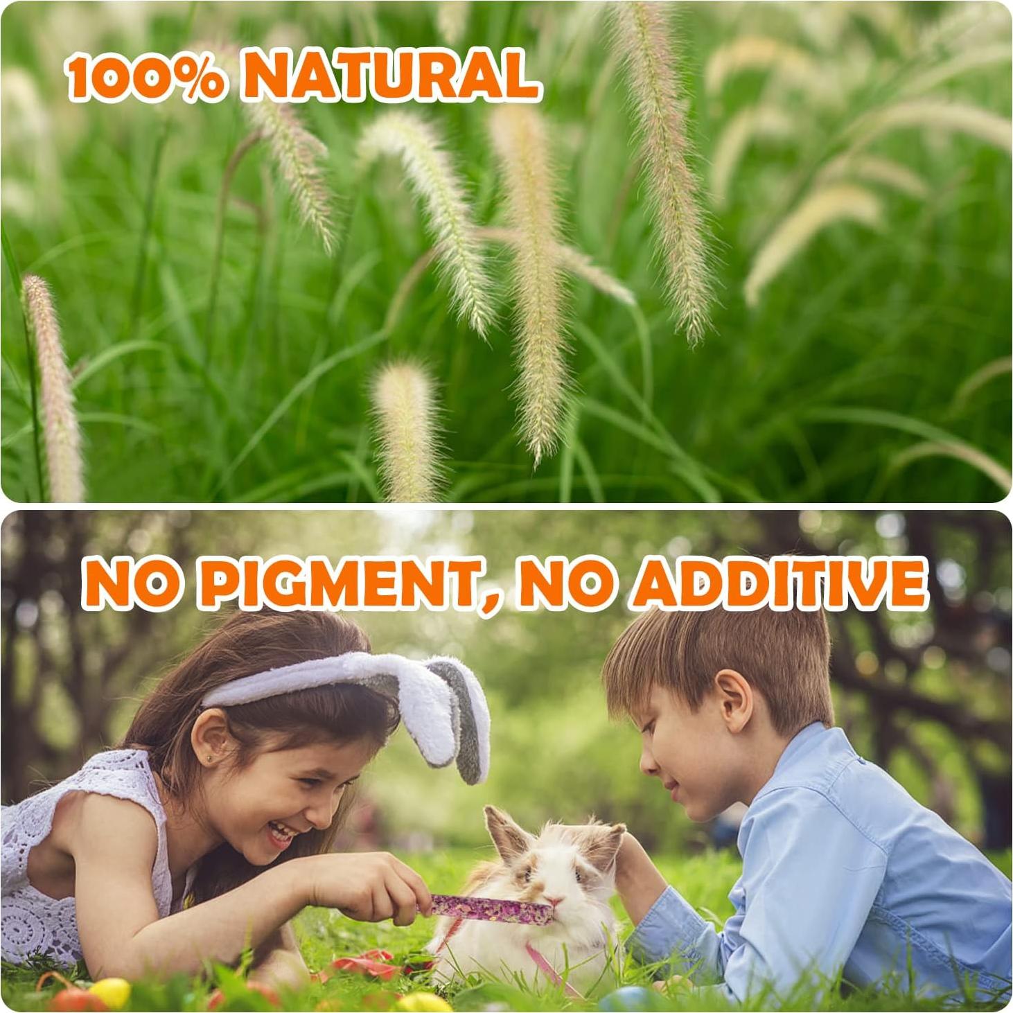 Sofier 32 Piezas Palitos de Heno Timothy 320g para Conejos y Cobayas