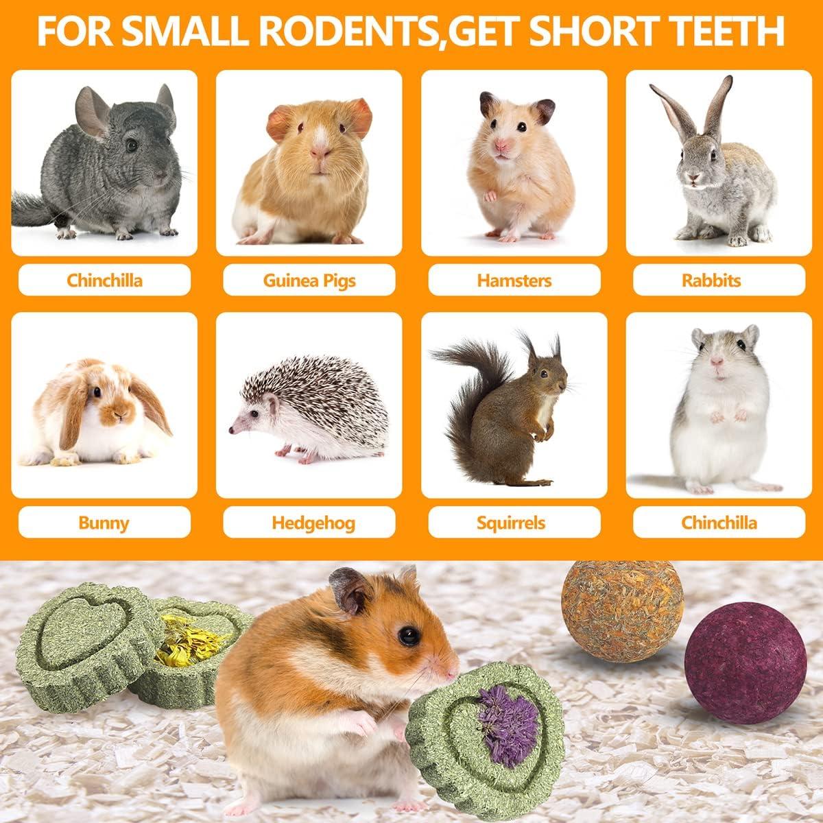 Juguetes Masticables para Conejos YIXUND 26 Piezas Naturales