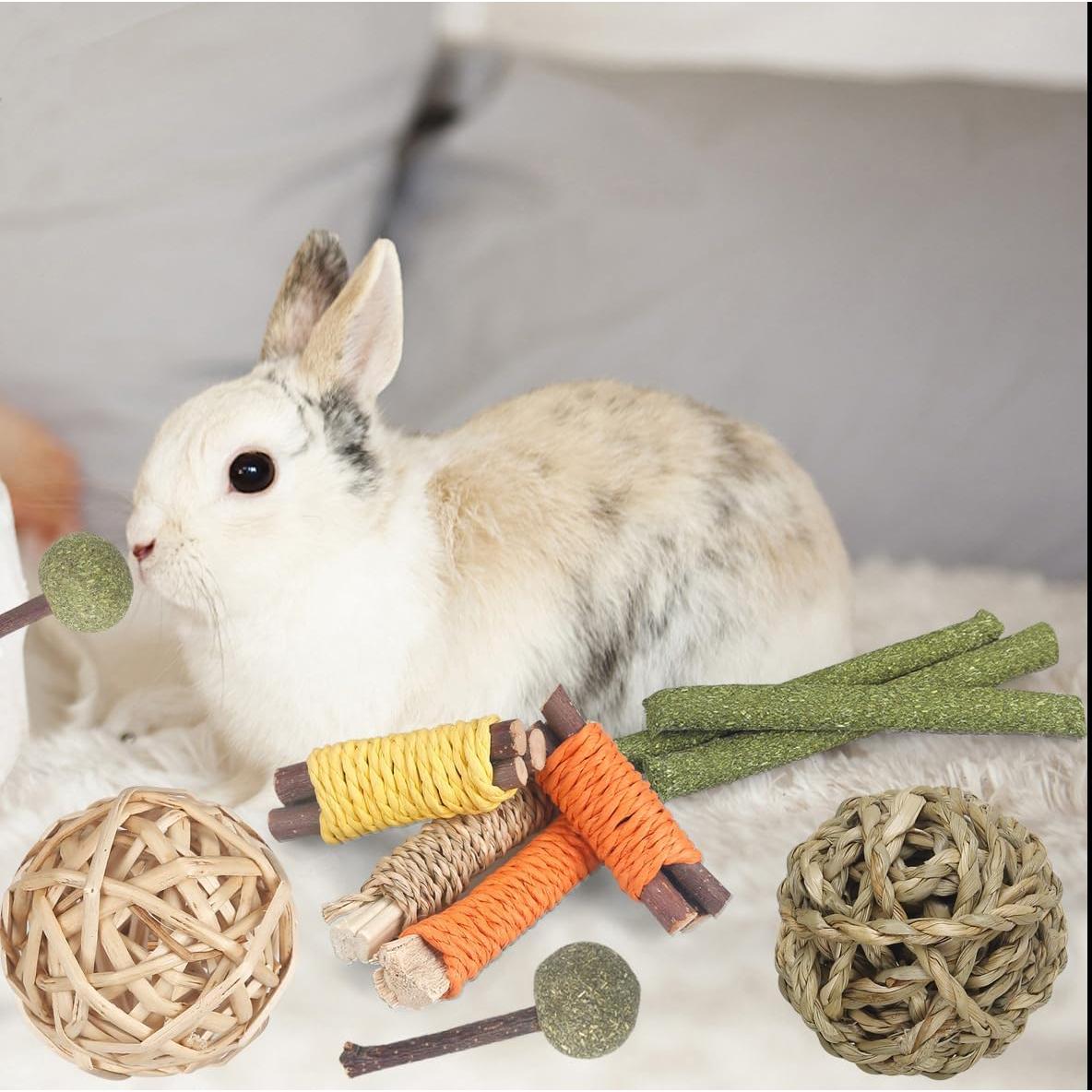 Juguetes Masticables para Conejos YIXUND 26 Piezas Naturales