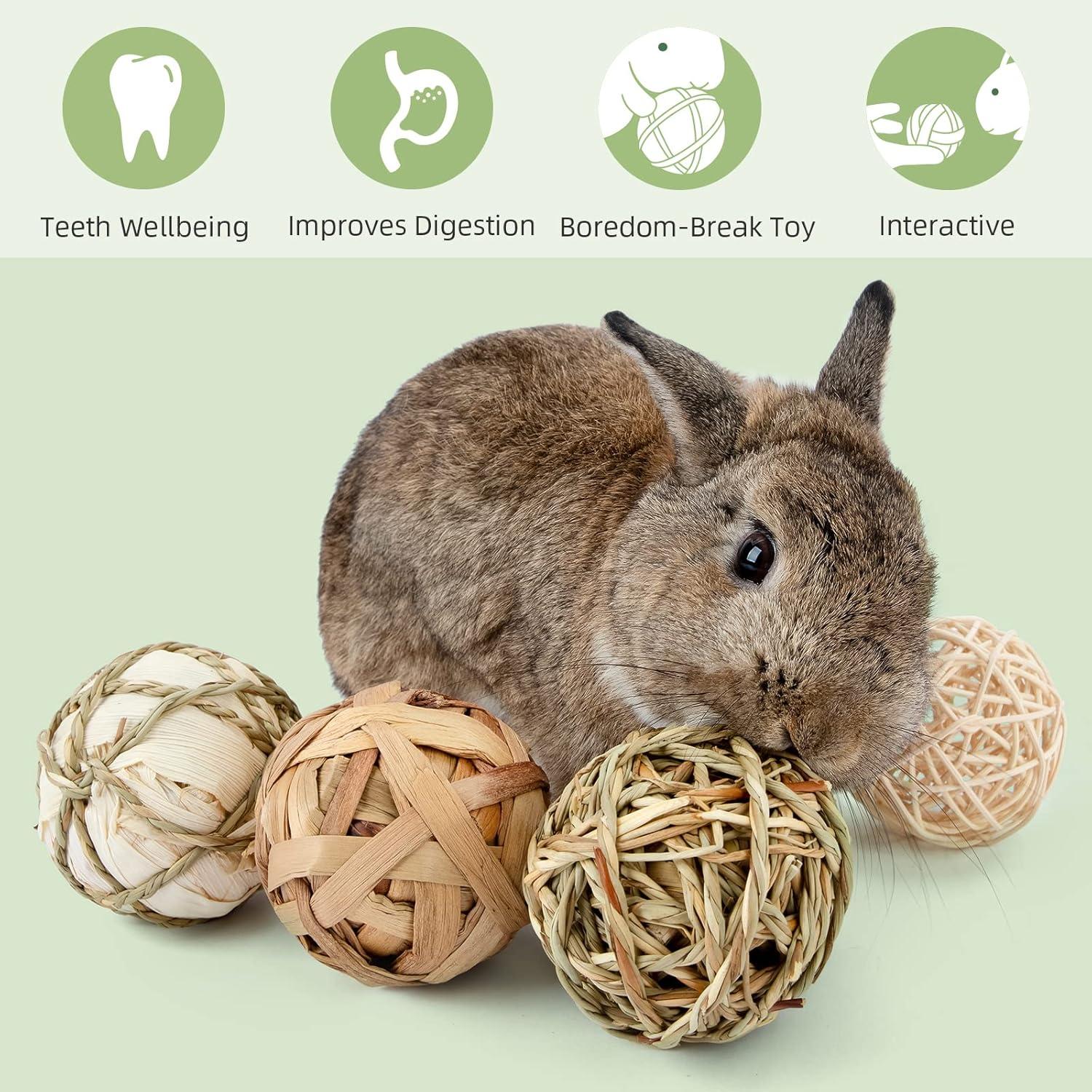 Bolas de Juego para Animales Pequeños Andwe - Paquete de 8