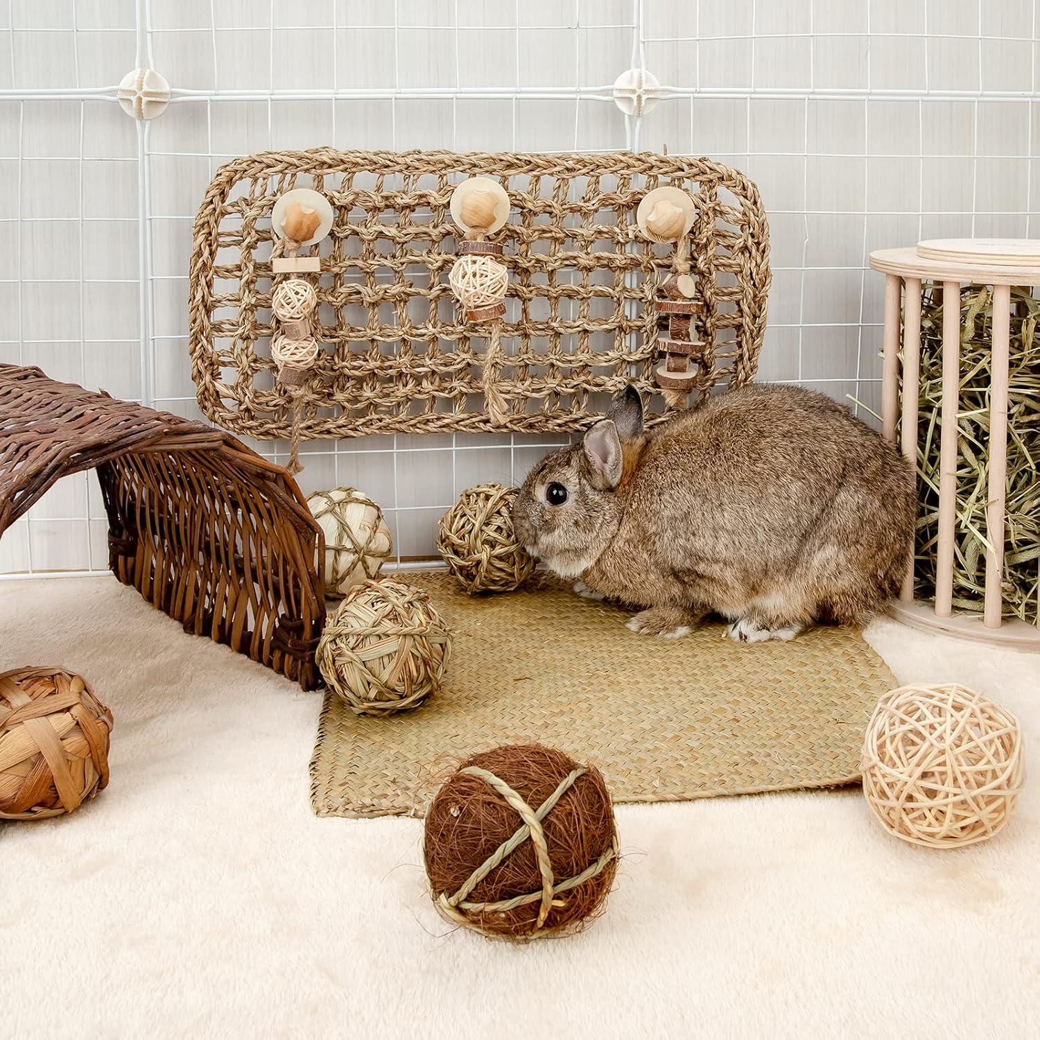 Bolas de Juego para Animales Pequeños Andwe - Paquete de 8