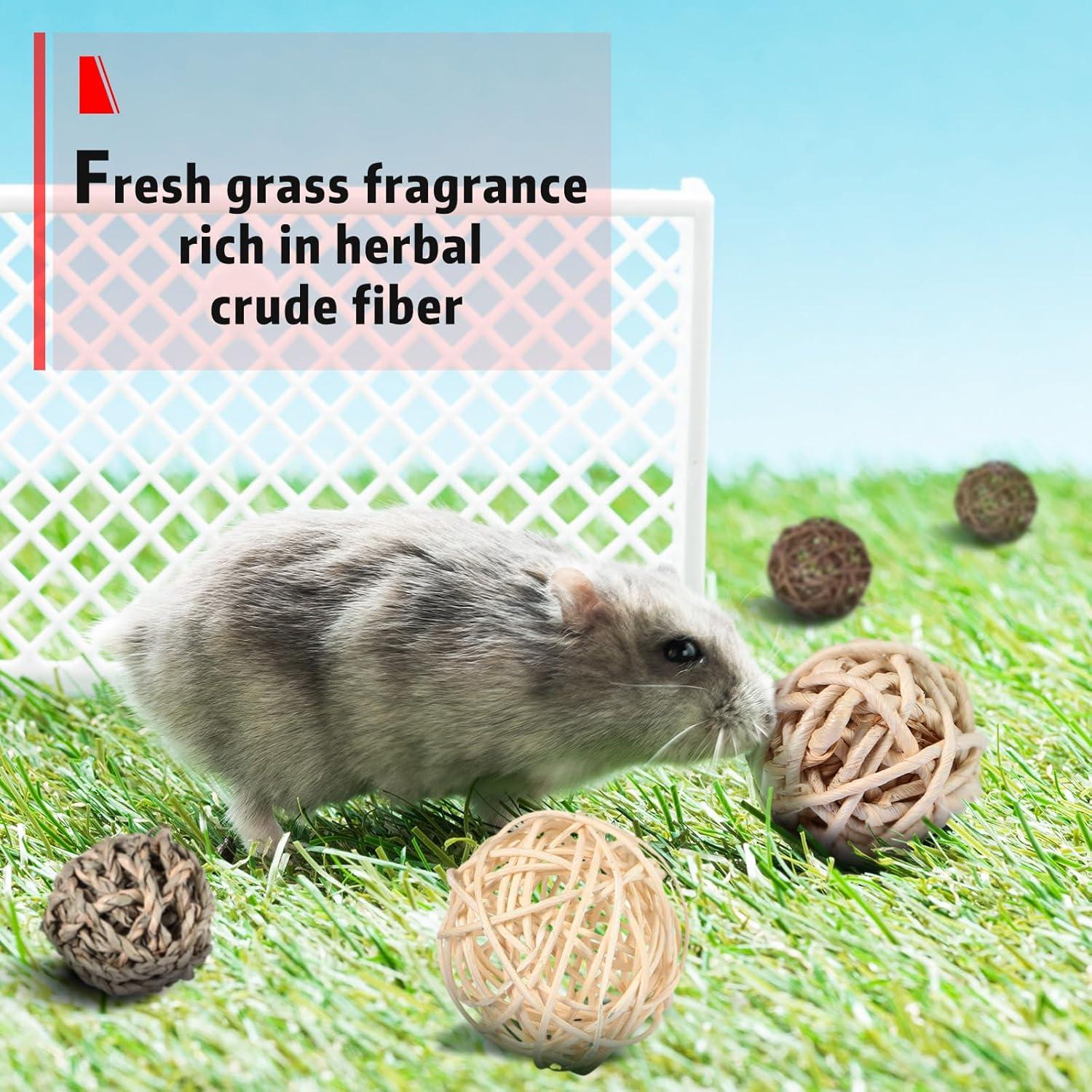 Bolas de Masticar para Conejos Skylety - 15 Piezas de Hierba
