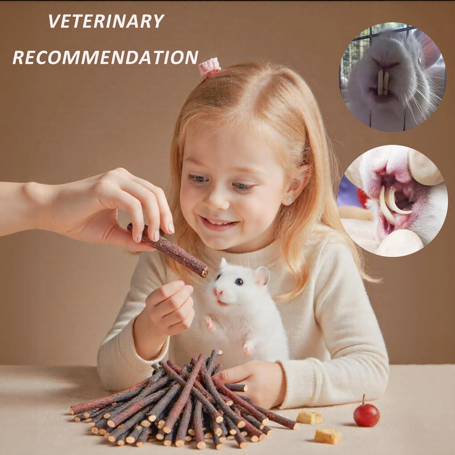 Bastón de Masticar 4 en 1 GREMBEB para Conejos 140g