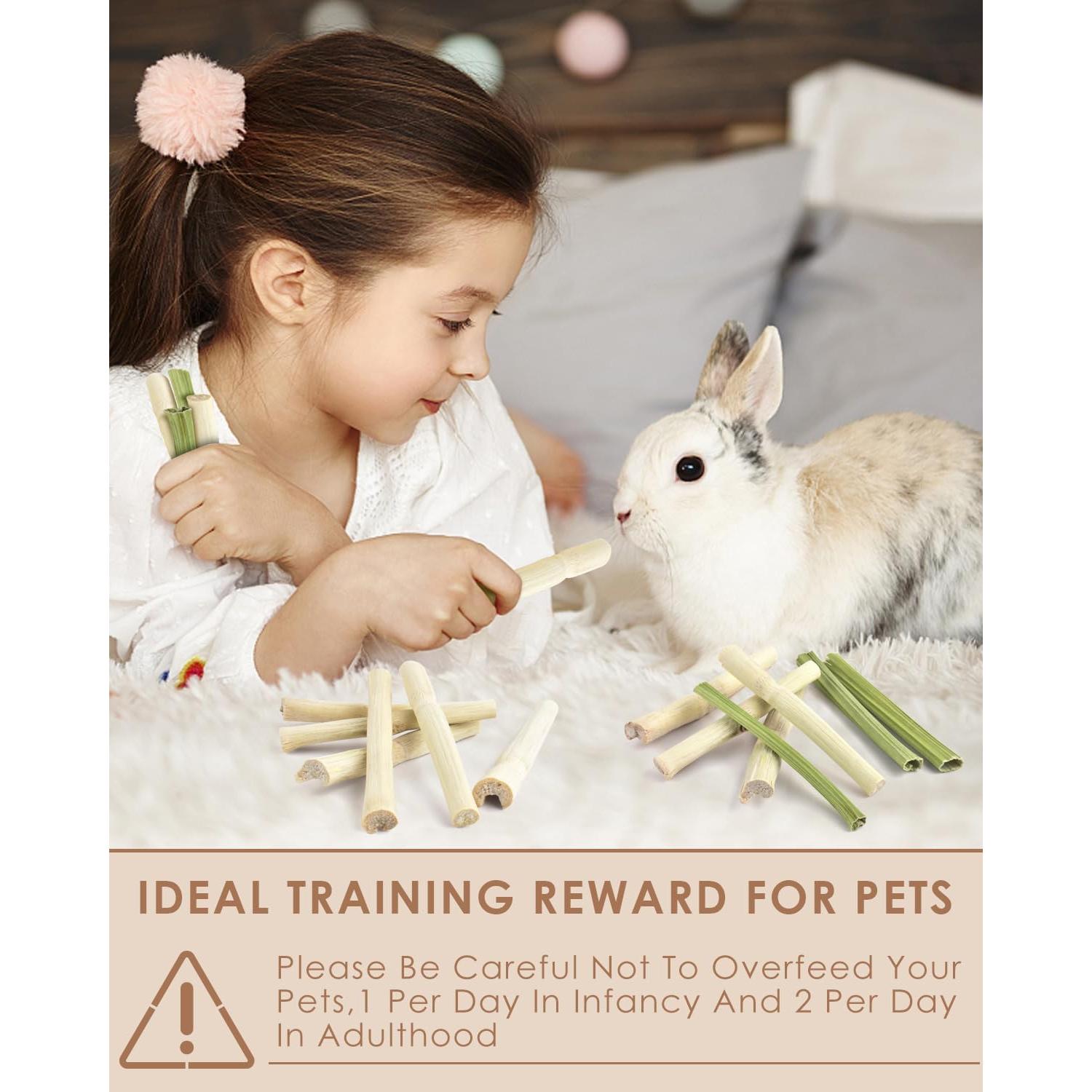 Bissap 40PCS Palitos Masticables para Conejos y Roedores