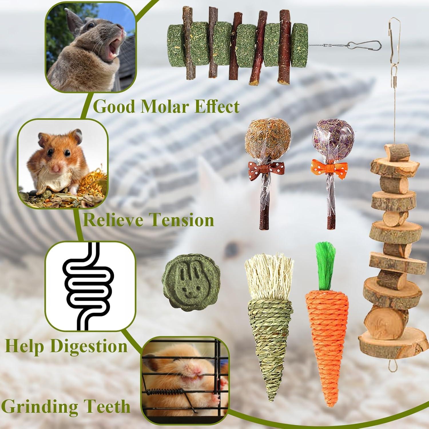 Juguetes de Masticar para Conejos RUNANIA - 10 Piezas Naturales