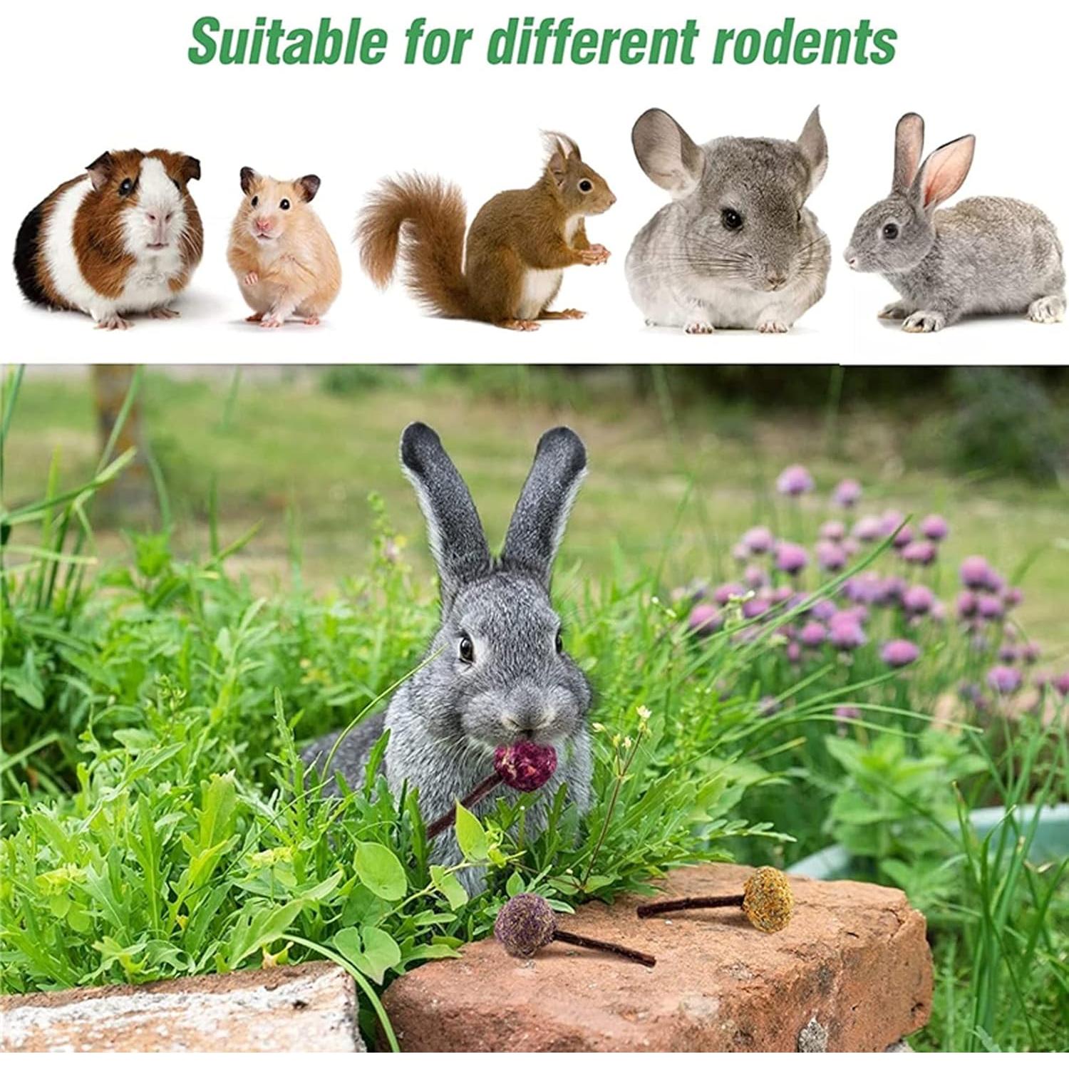 Juguetes de Masticar para Conejos RUNANIA - 10 Piezas Naturales