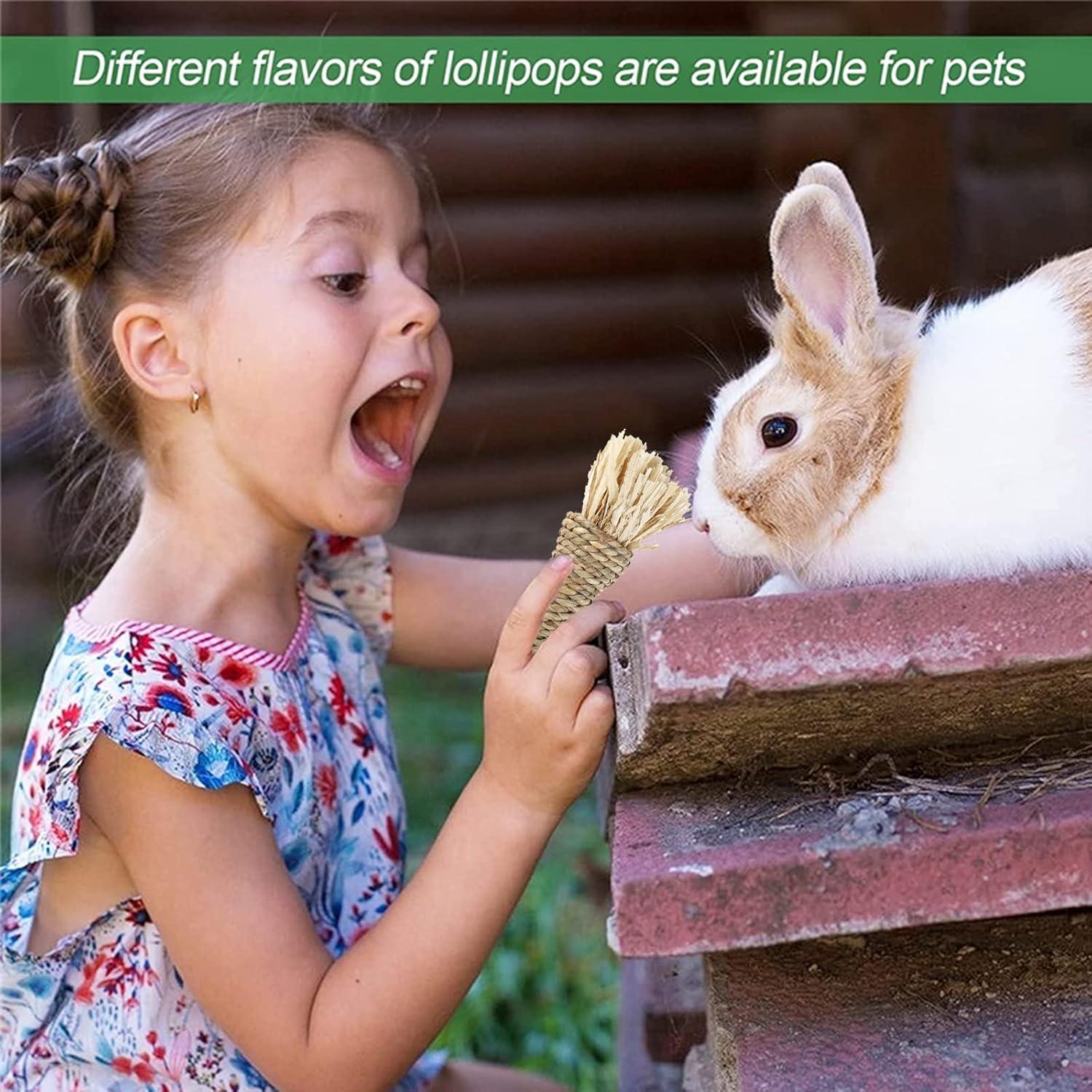 Juguetes de Masticar para Conejos RUNANIA - 10 Piezas Naturales