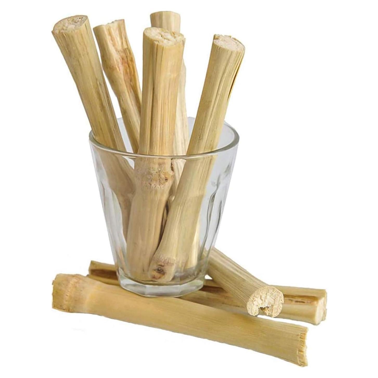 Snacks para Mascotas BWOGUE 100g Bambú Dulce para Conejos y Ardillas