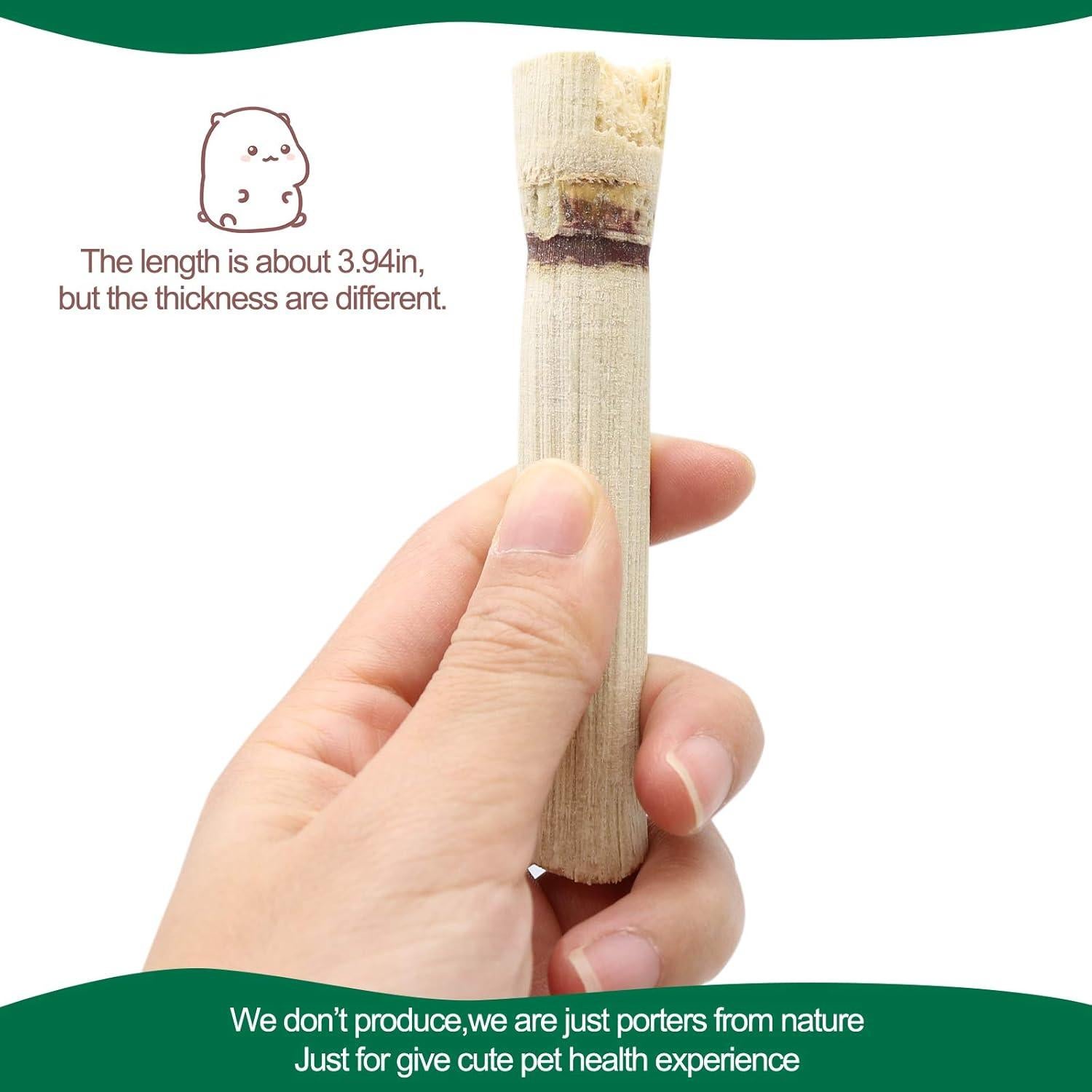 Snacks para Mascotas BWOGUE 100g Bambú Dulce para Conejos y Ardillas