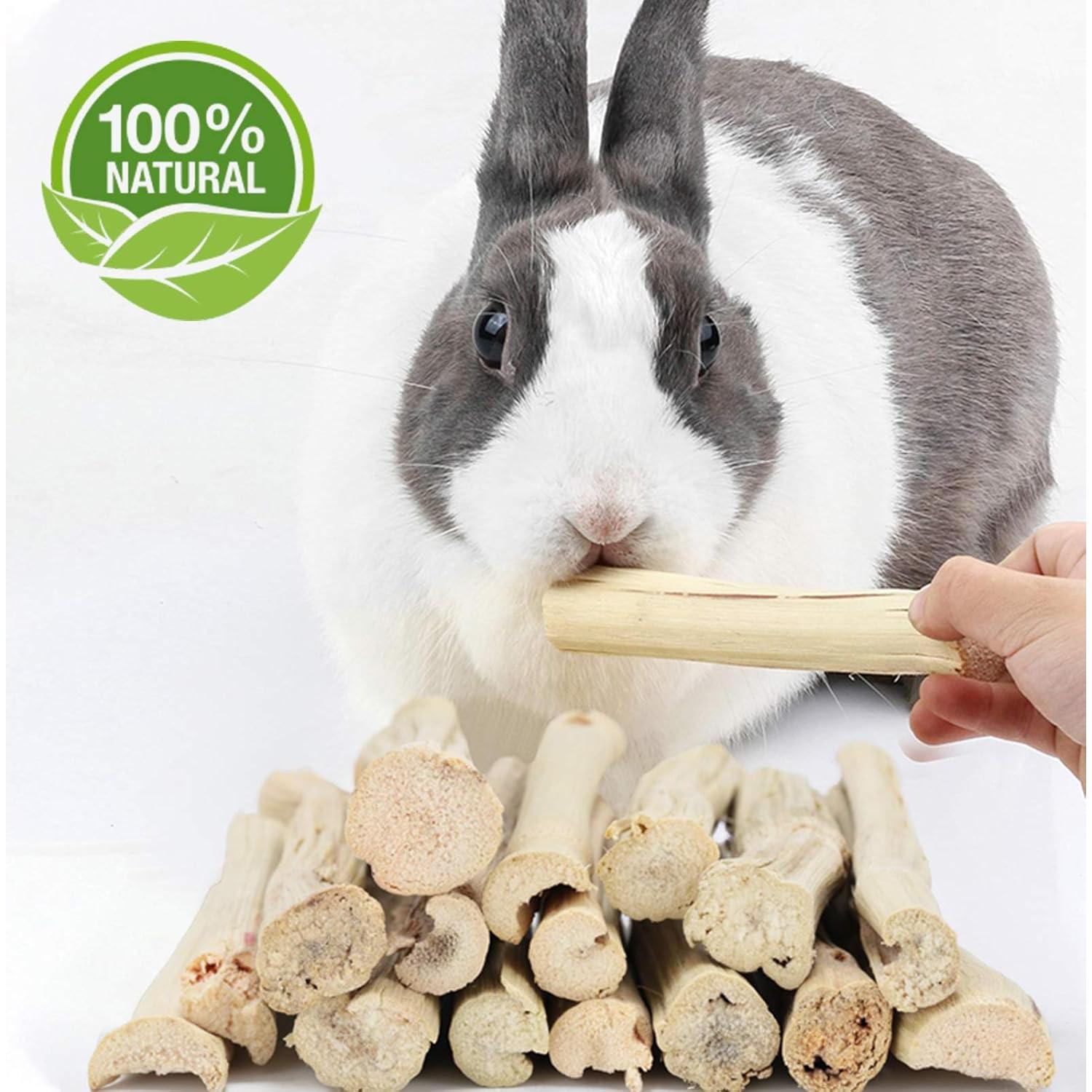 Snacks para Mascotas BWOGUE 100g Bambú Dulce para Conejos y Ardillas