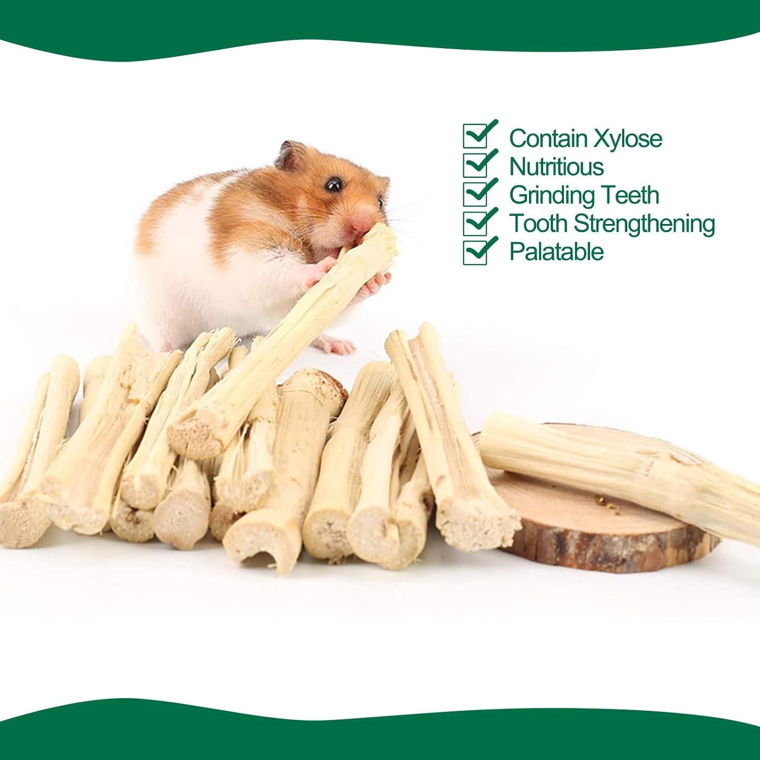 Snacks para Mascotas BWOGUE 100g Bambú Dulce para Conejos y Ardillas