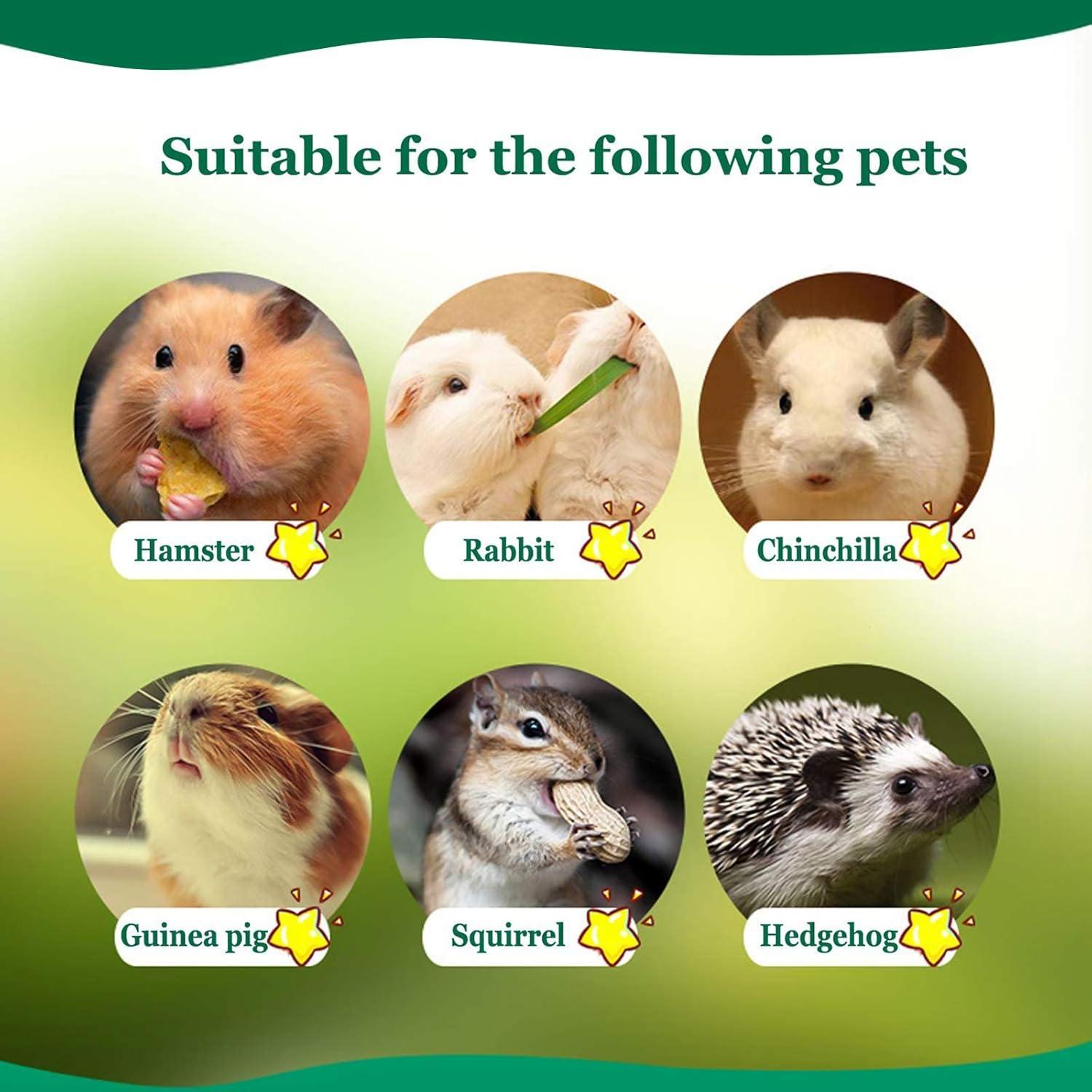 Snacks para Mascotas BWOGUE 100g Bambú Dulce para Conejos y Ardillas