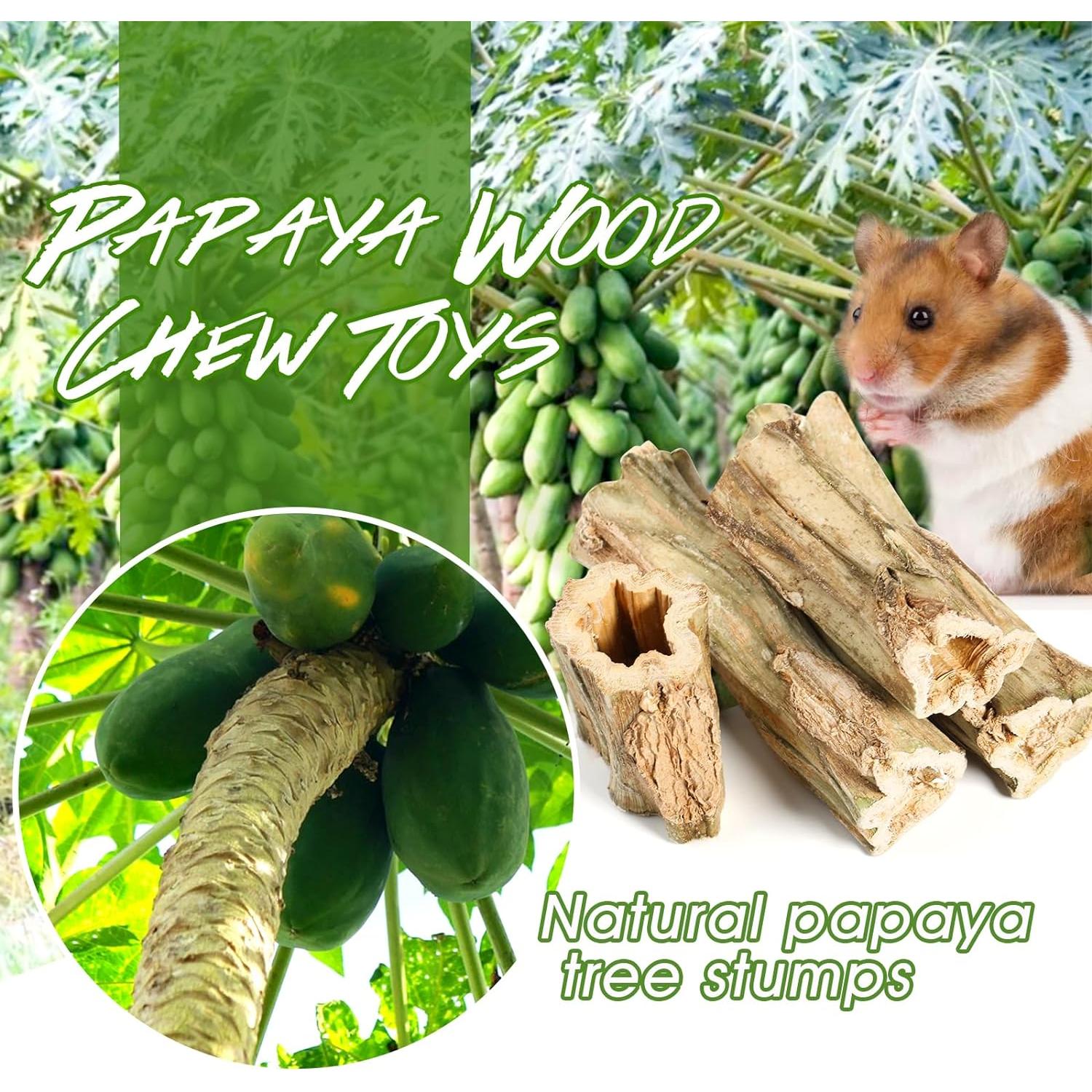 Juguetes de Masticar Abizoo para Conejos - 4 Piezas de Papaya