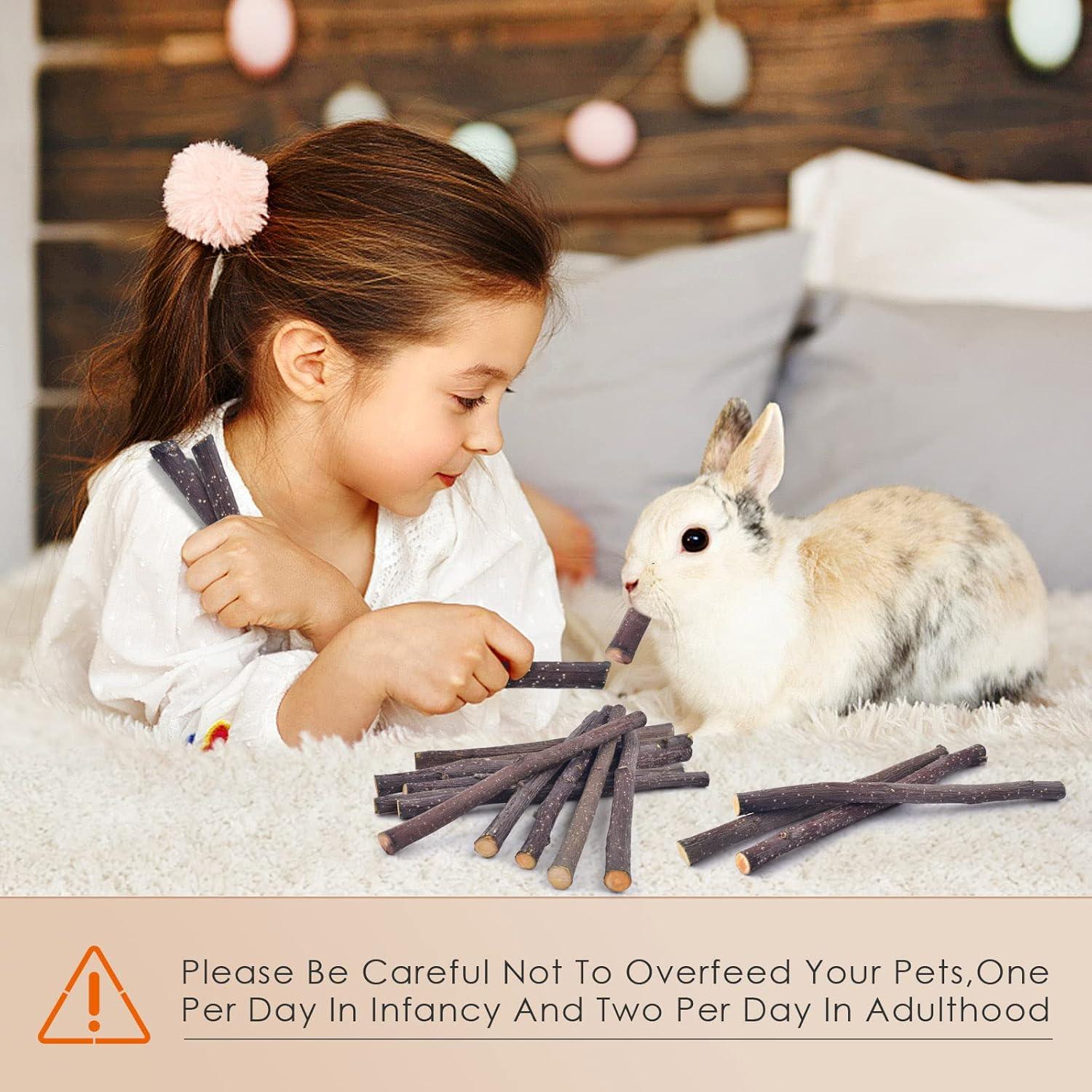 Palitos de Manzana Bissap 230g - Juguetes Naturales para Conejos