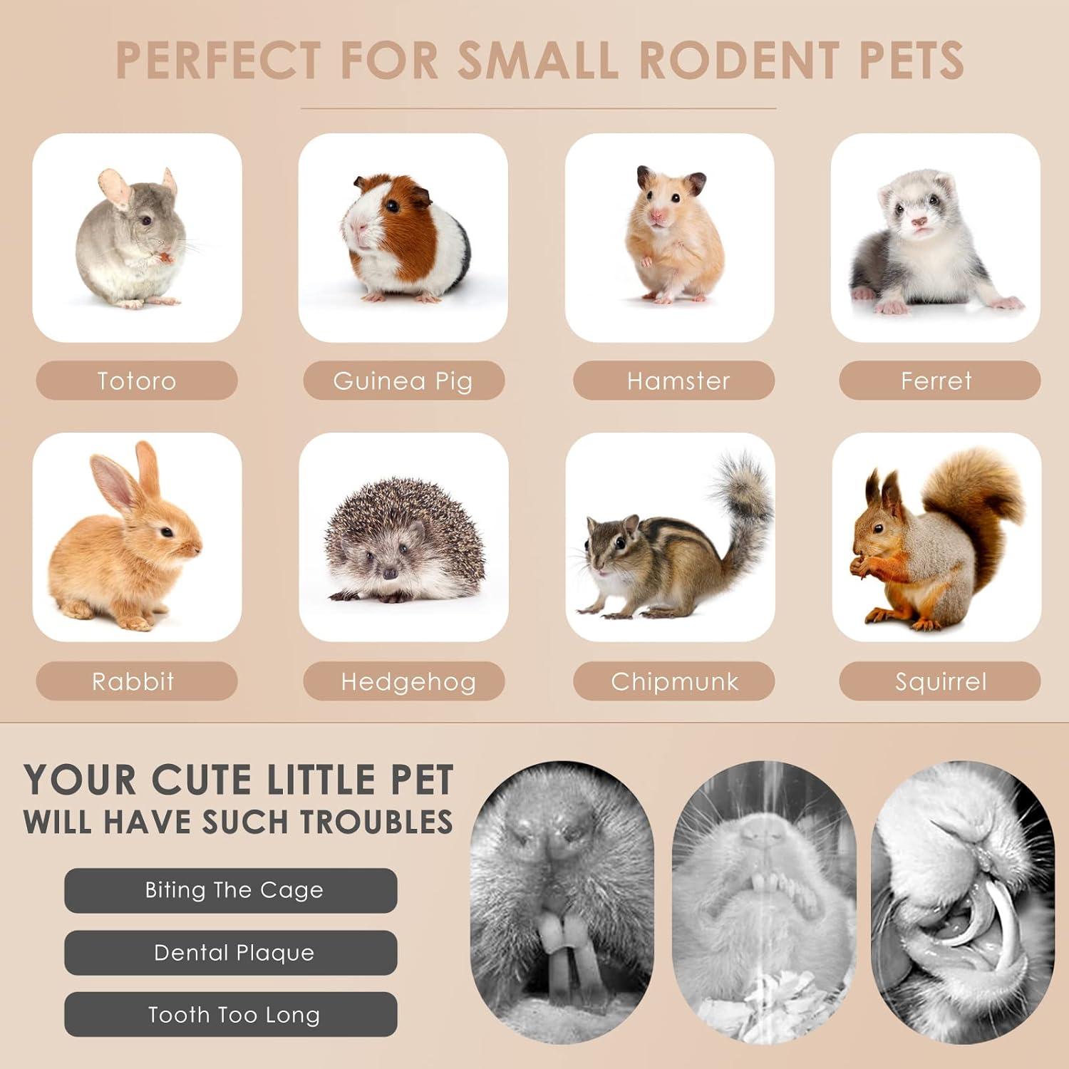 Palitos de Manzana Bissap 230g - Juguetes Naturales para Conejos