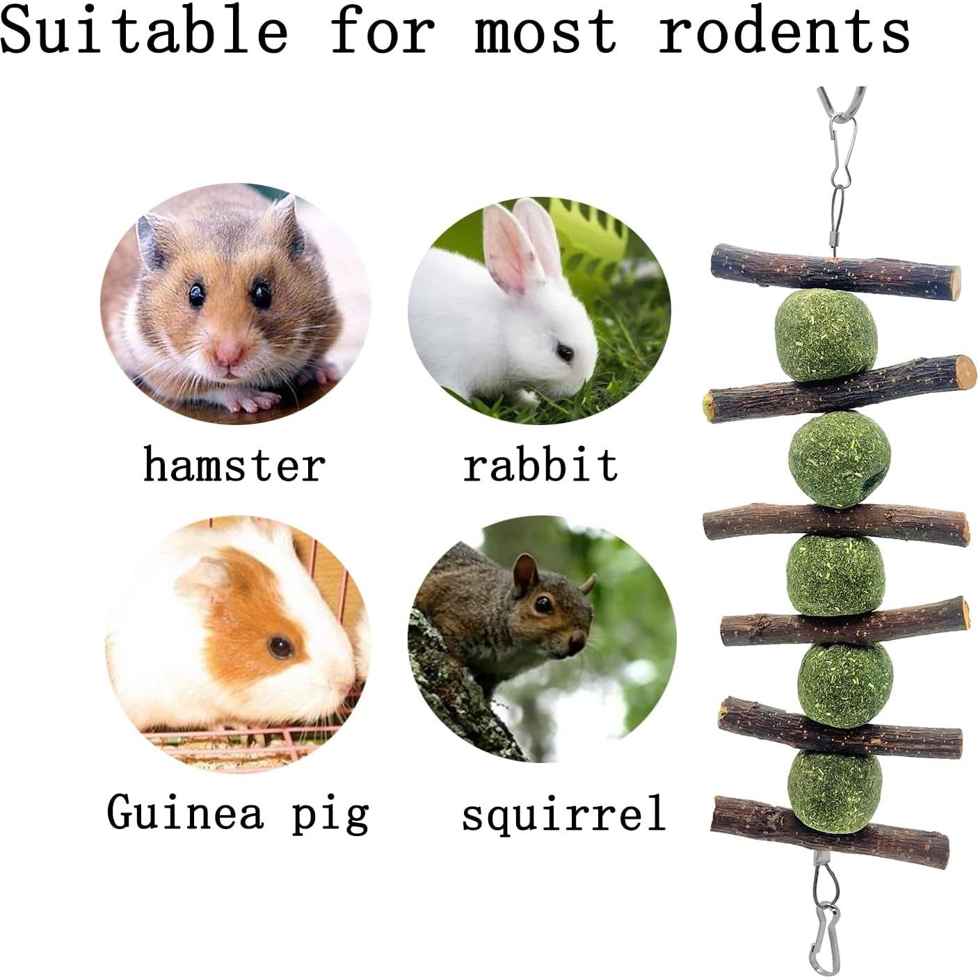 Juguetes de Masticar para Conejos MYYZMY - 3 Pcs de Madera Natural