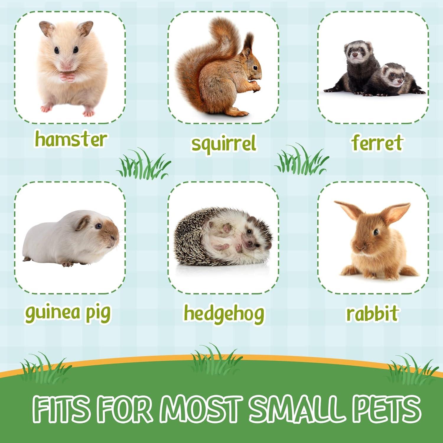 Hamaca para Ratas Nuogo 34x34cm 4 Pcs Accesorios Jaula