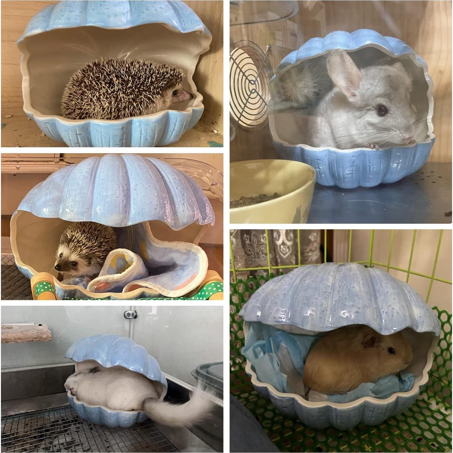 Escondite Cerámica para Pequeños Animales XL Azul 24x18x20cm