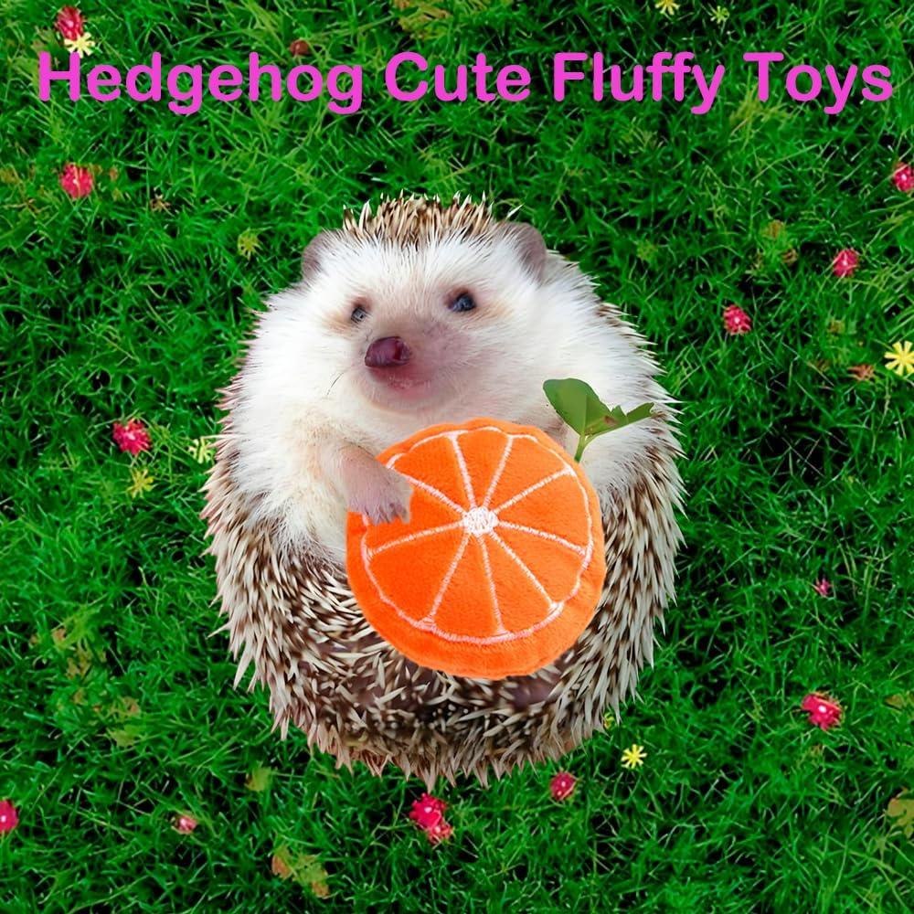 10 Juguetes de Enriquecimiento para Erizos VZqola