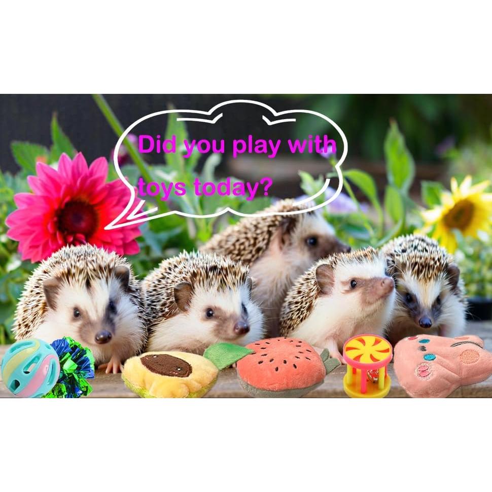 10 Juguetes de Enriquecimiento para Erizos VZqola
