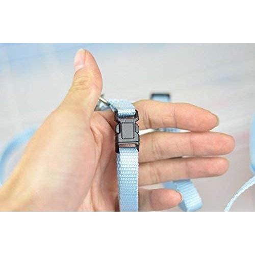 Arnés Ajustable para Erizos Hokmly 1cm x 110cm Azul