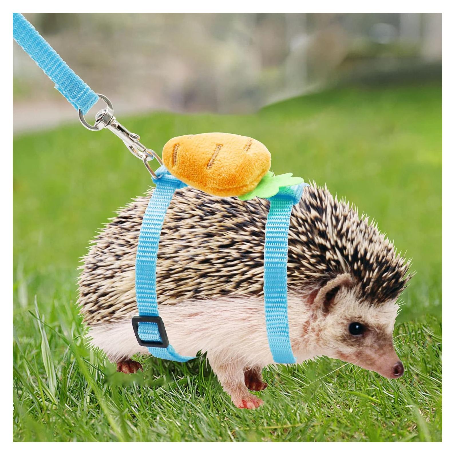 Arnés Ajustable para Erizos Dnoifne con Correa de Nylon 110 cm