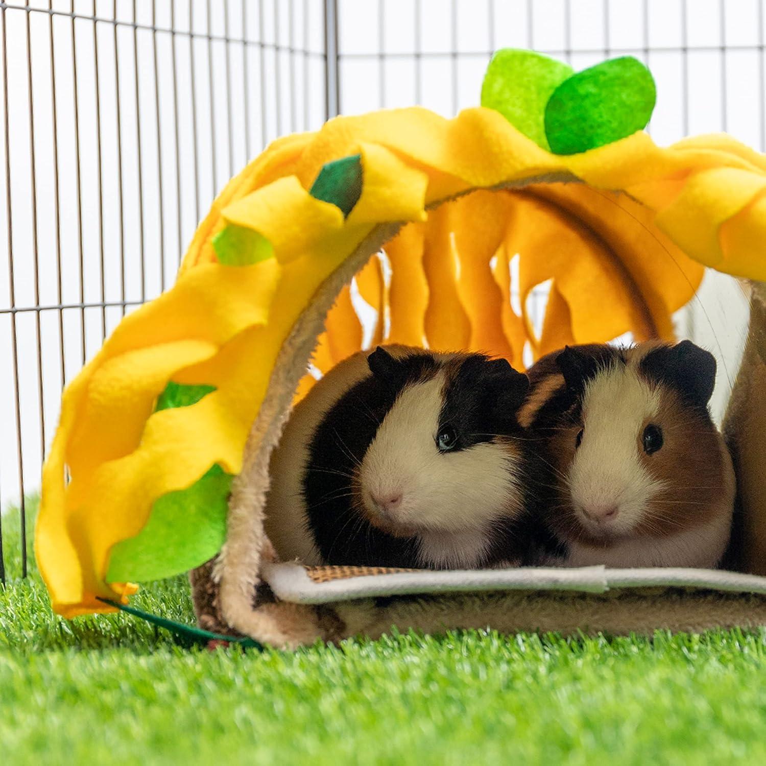 Casa Túnel para Cobayas PAWNISAW 30x17.8x14.7 cm Marrón
