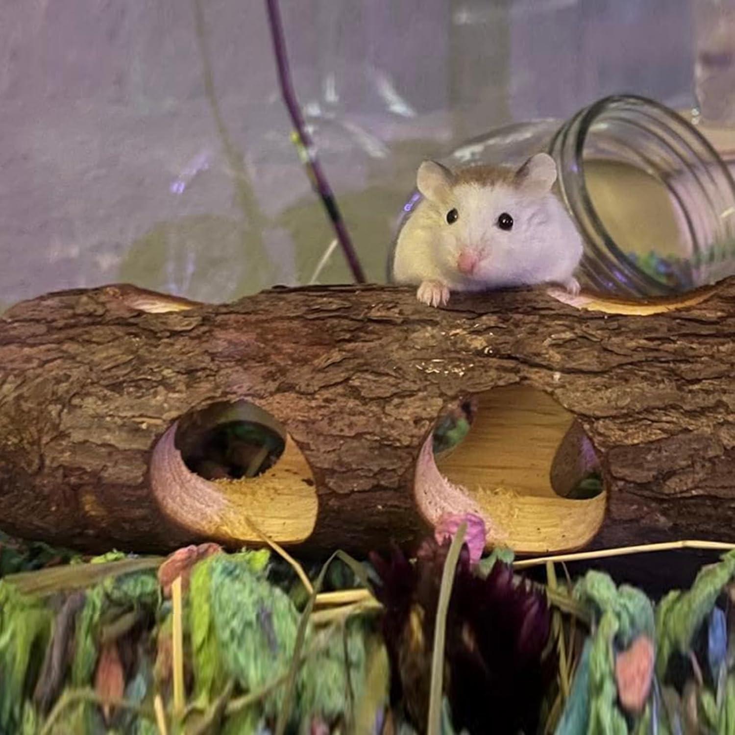 Túnel de Madera Natural 20 cm para Hámster y Pequeños Animales