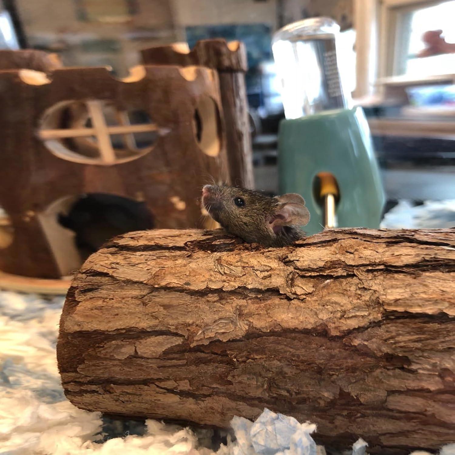 Túnel de Madera Natural 20 cm para Hámster y Pequeños Animales