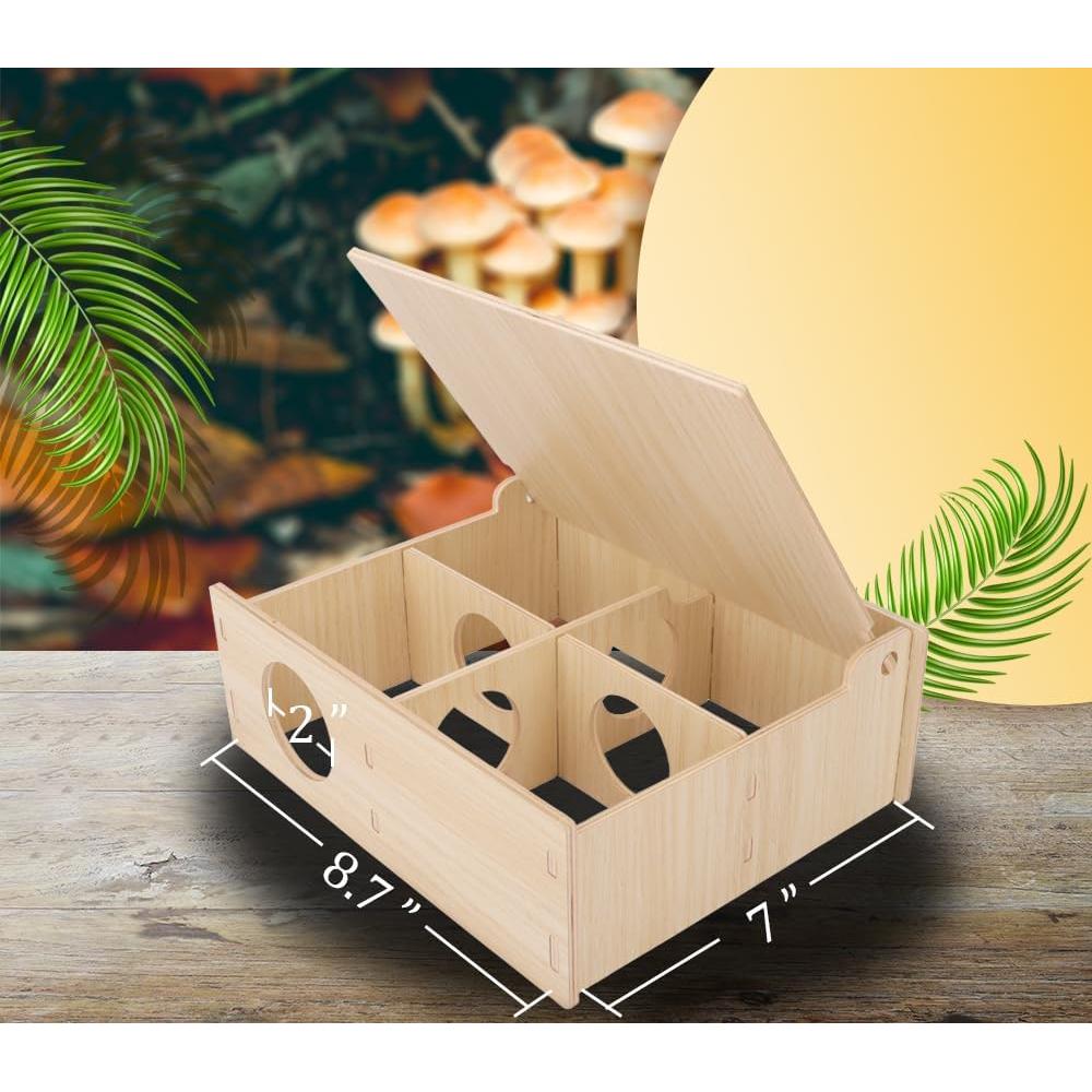 Túnel de Madera para Hámster Kcrygogo con Tapa Abatible