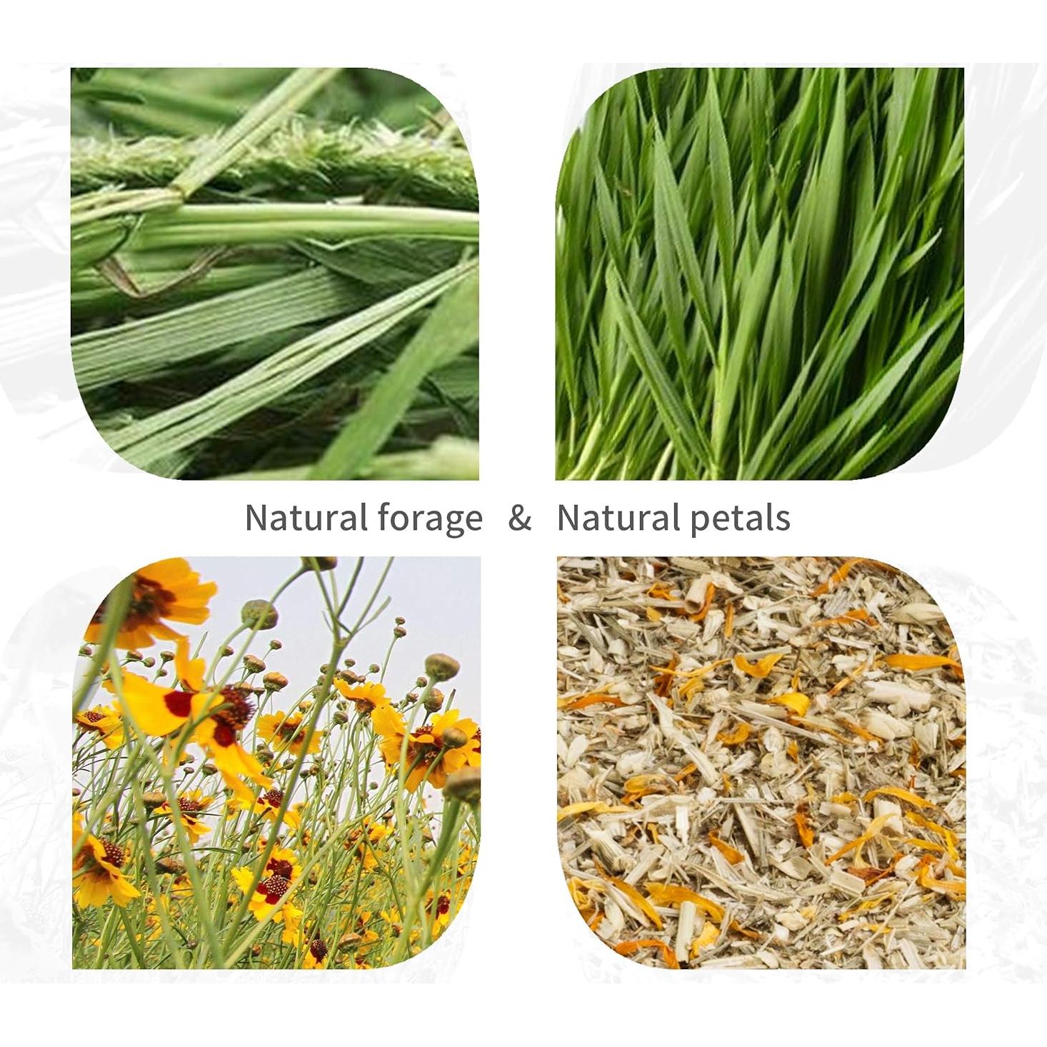 Túnel Componible para Hámster Niteangel - DIY, 21.69 cm