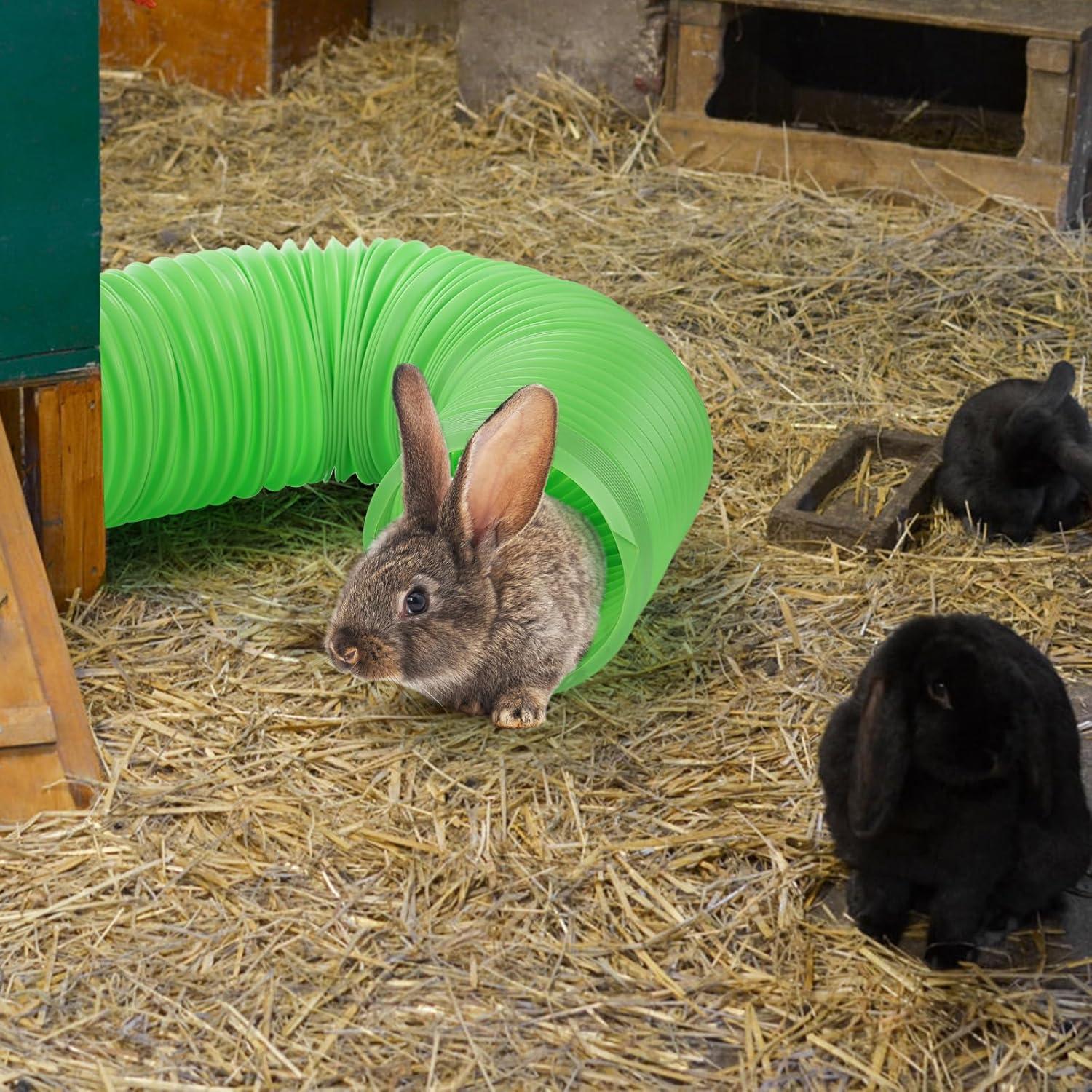 Túneles Divertidos para Hámster ZENFUN - 3 Paquetes Plegables