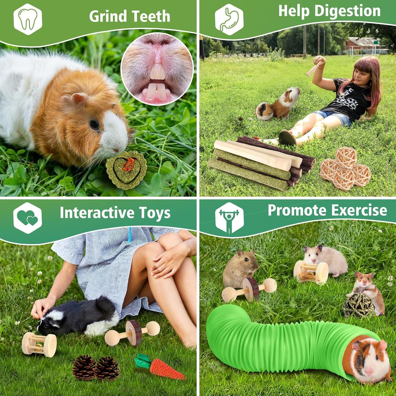 Set de Juguetes para Hámster Kyouki - 24 Accesorios Verde