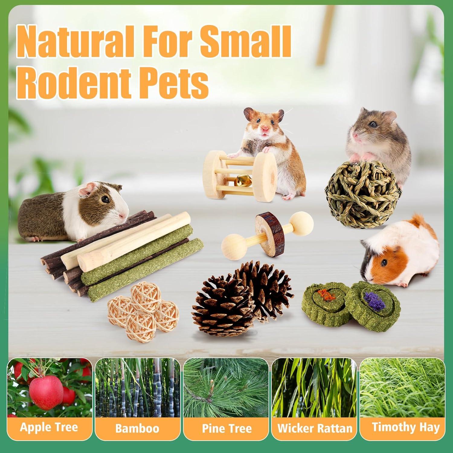 Set de Juguetes para Hámster Kyouki - 24 Accesorios Verde