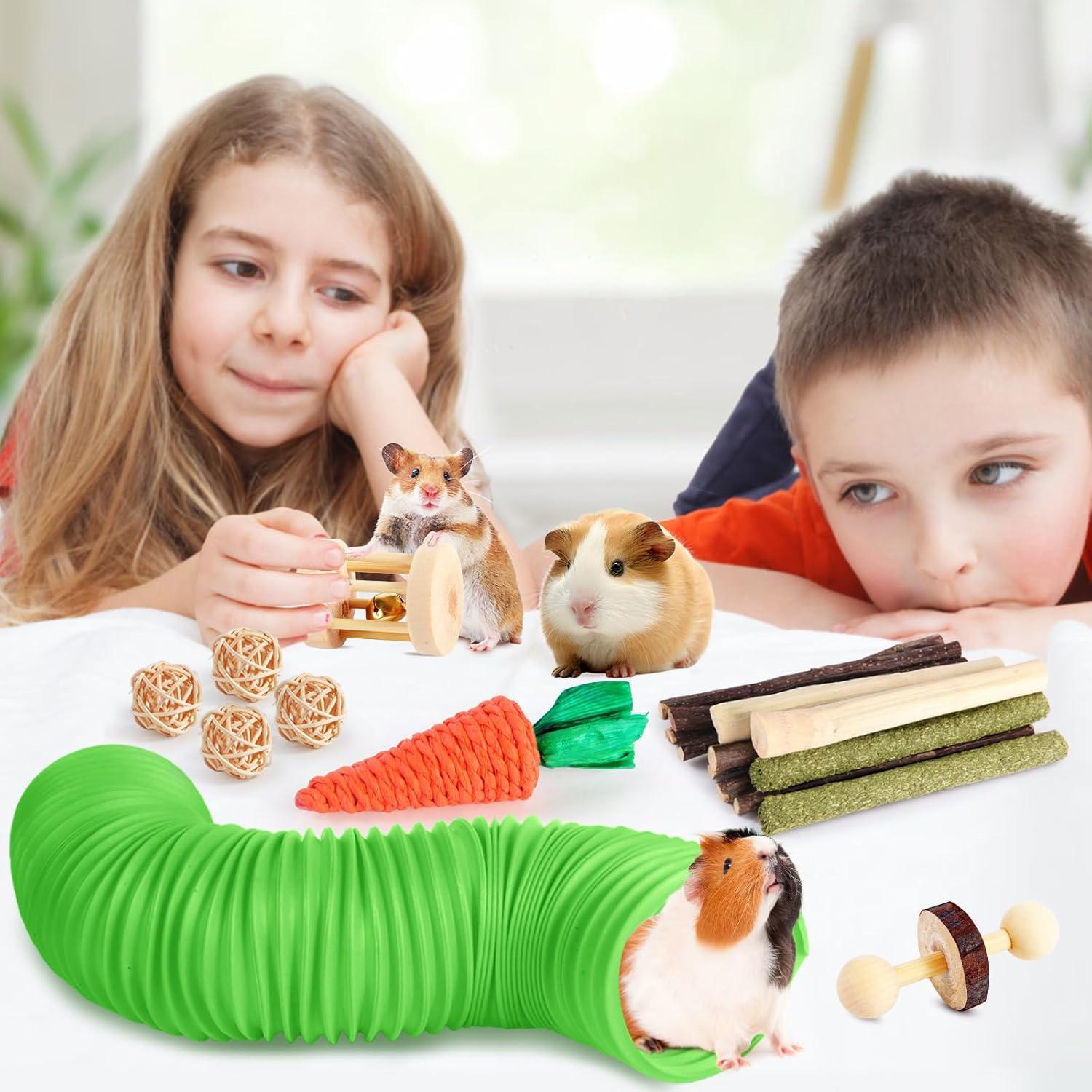 Set de Juguetes para Hámster Kyouki - 24 Accesorios Verde