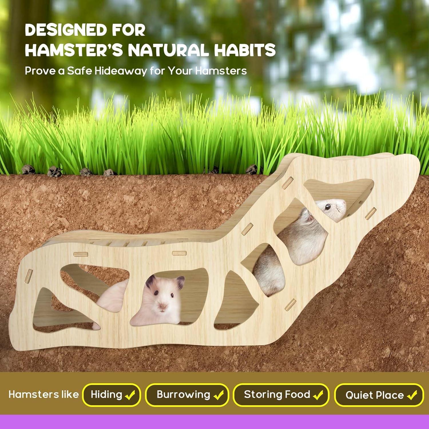 Escalera y Túnel de Escondite para Hámster AccEncyc 43.9x19.6 cm