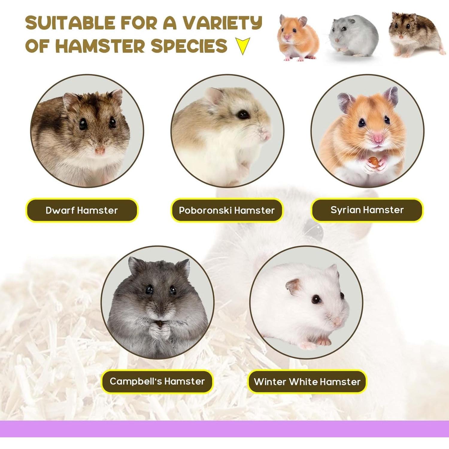 Escalera y Túnel de Escondite para Hámster AccEncyc 43.9x19.6 cm