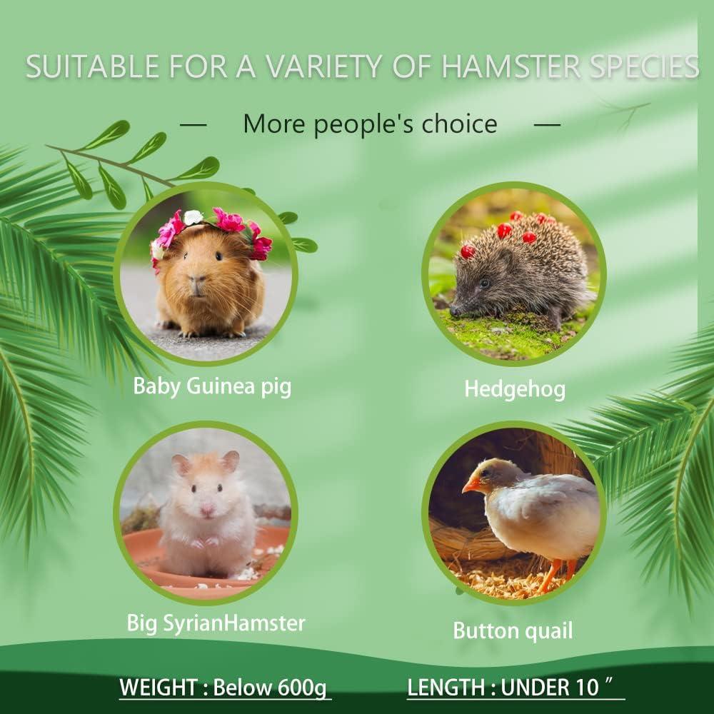 Conjunto de Exploración para Hámster Sirio Grande - Túnel de Madera Natural