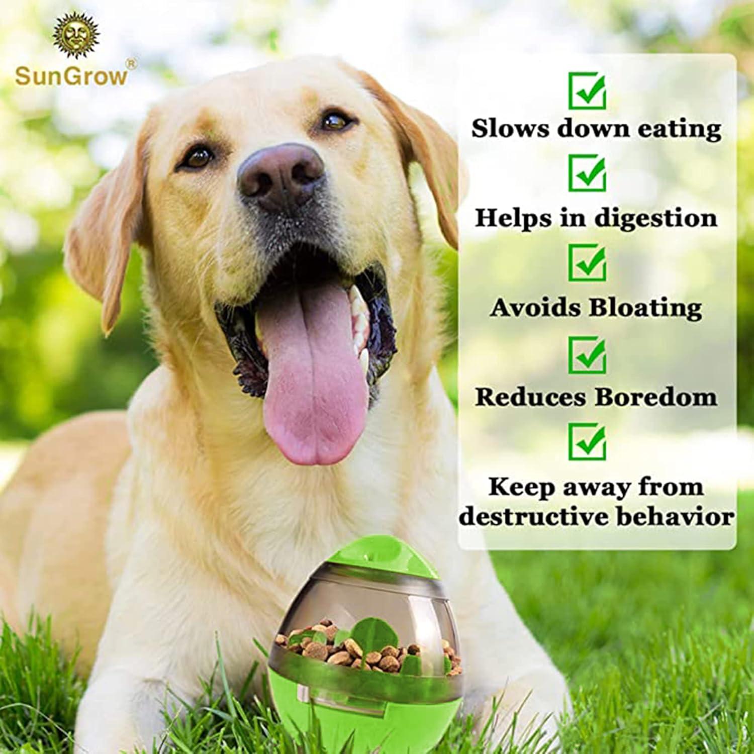 Pelota de Golosinas SunGrow Verde para Conejos y Mascotas Pequeñas