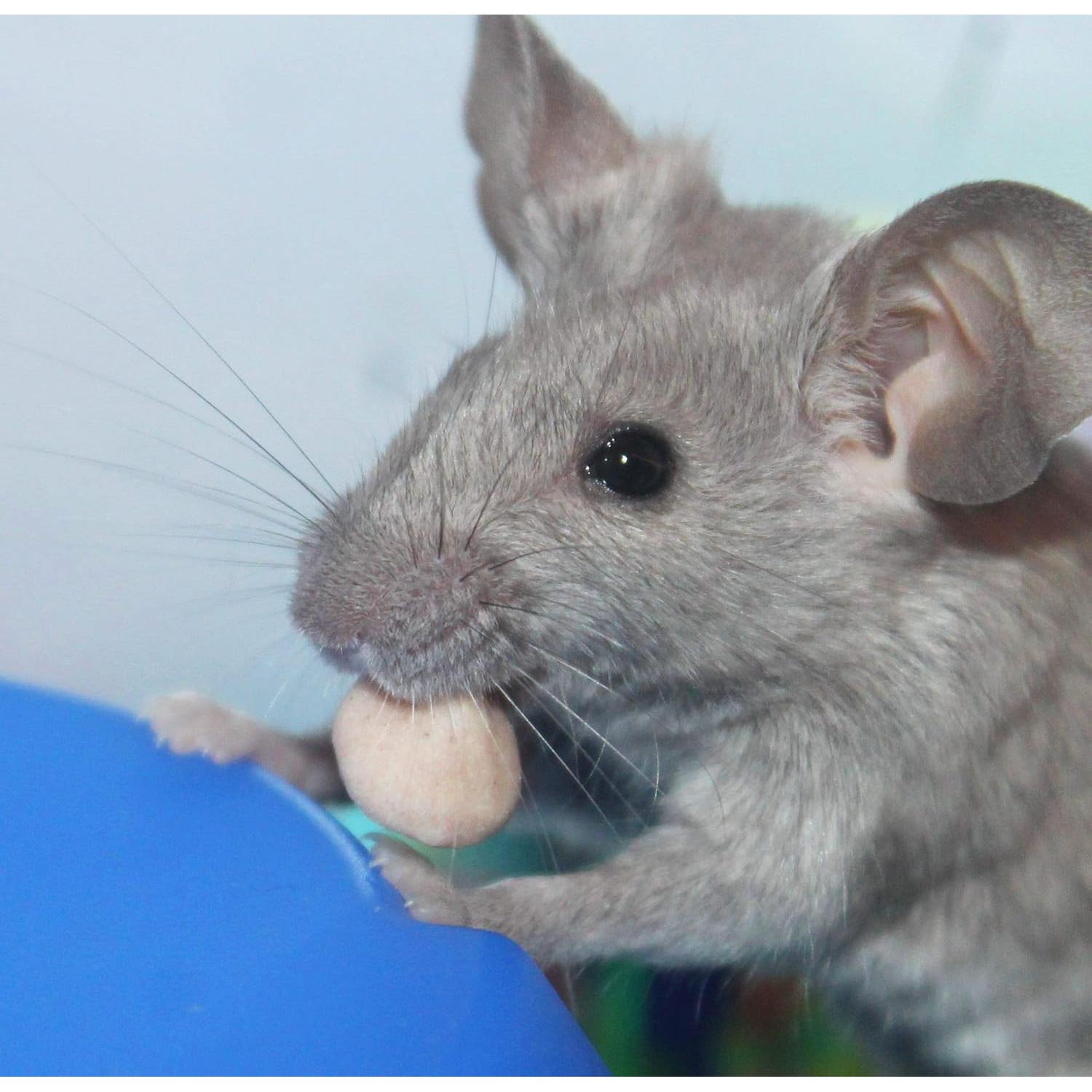 Gotas Mini Vitakraft Sabor Plátano y Cereza 70.87 g para Hámster