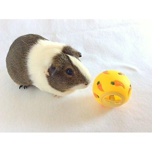 Bola de Golosinas Interactiva Wheeky para Mascotas 7 cm Amarillo