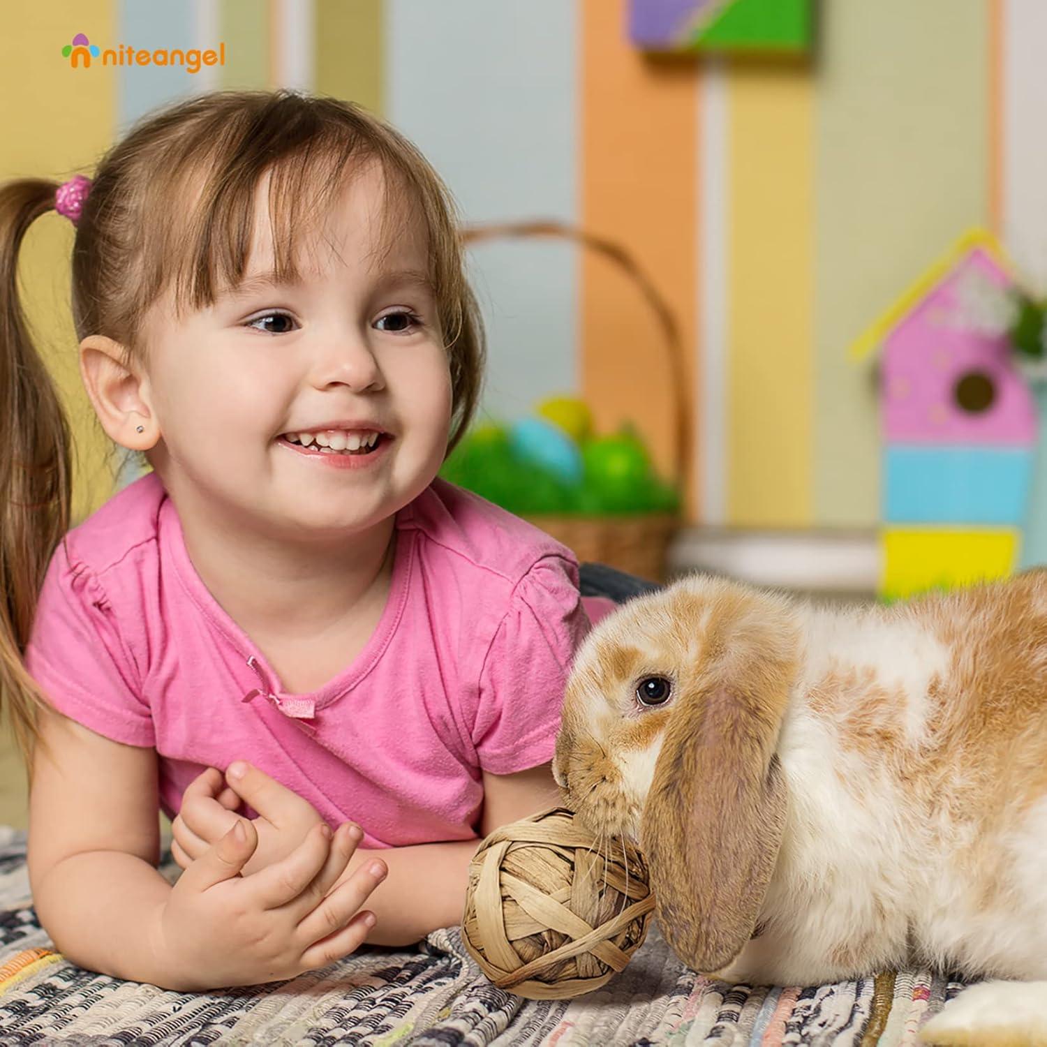 Pelotas de Masticar Naturales Niteangel para Conejos y Roedores