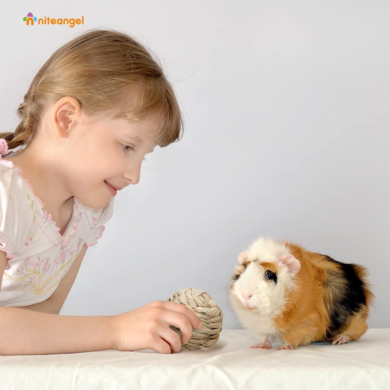 Pelotas de Masticar Naturales Niteangel para Conejos y Roedores