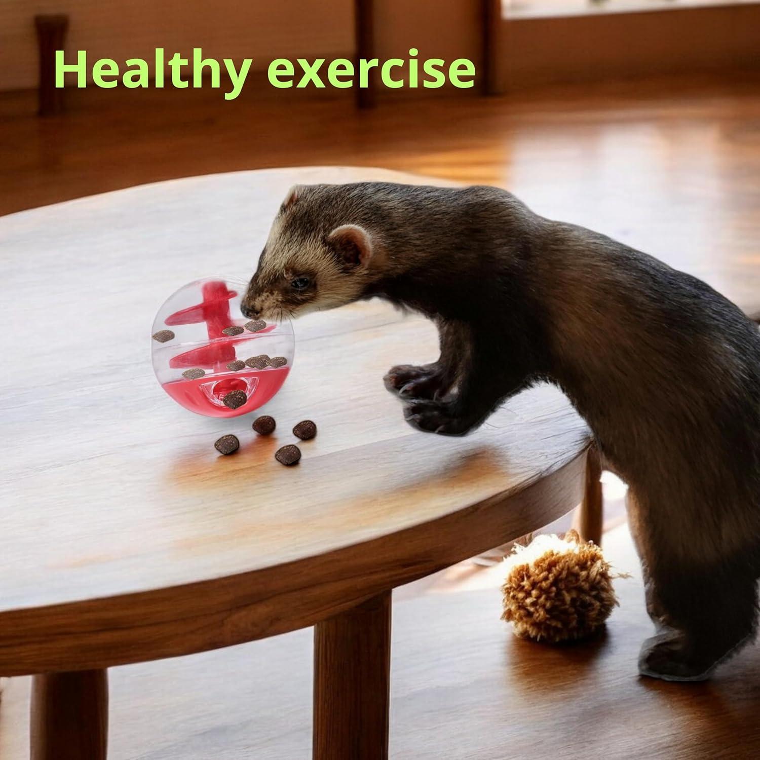 Bola de Tratamiento Interactiva para Hurones Homedy S Mini