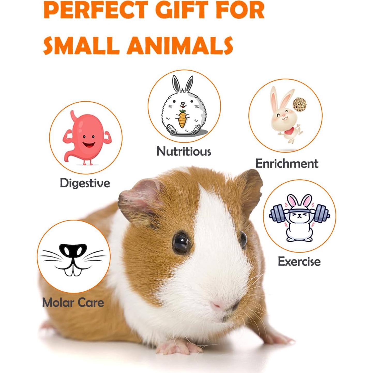 Accesorios para hámster y cobaya Sofier - Juguetes Naturales