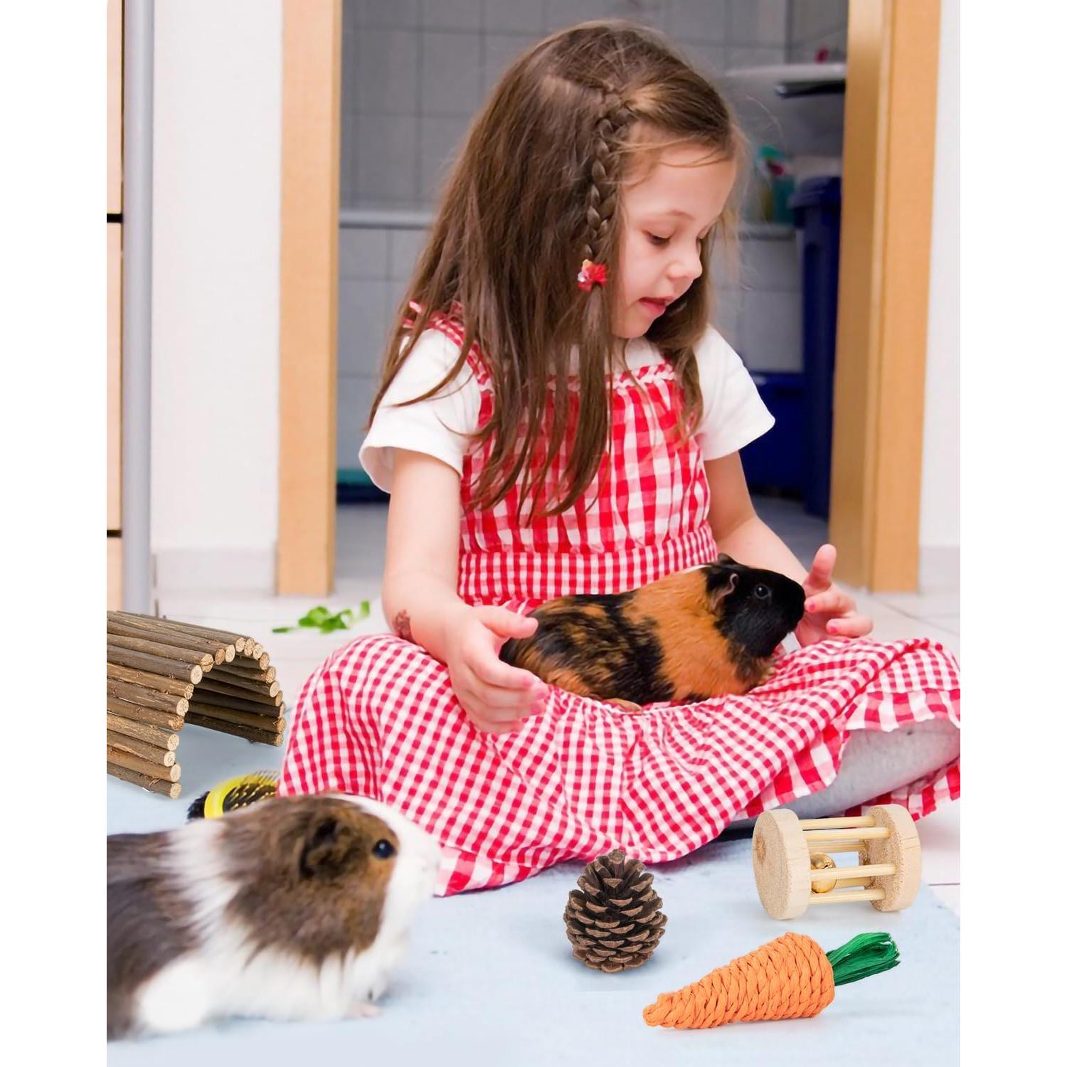 Accesorios para hámster y cobaya Sofier - Juguetes Naturales